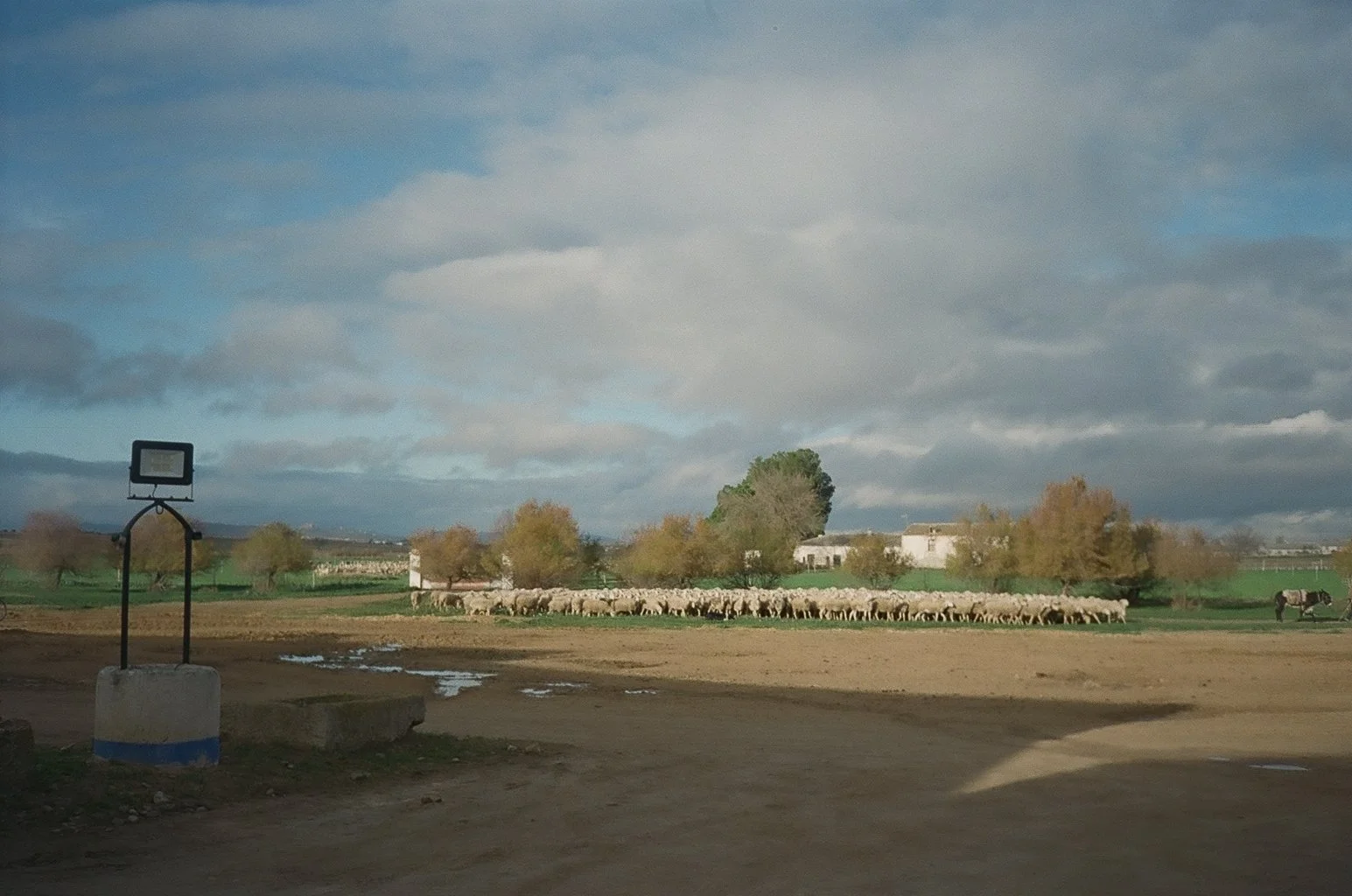 362778_0012.jpg