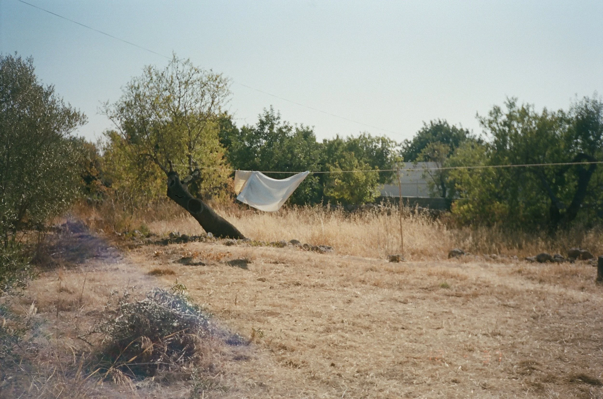 253893_0033.jpg