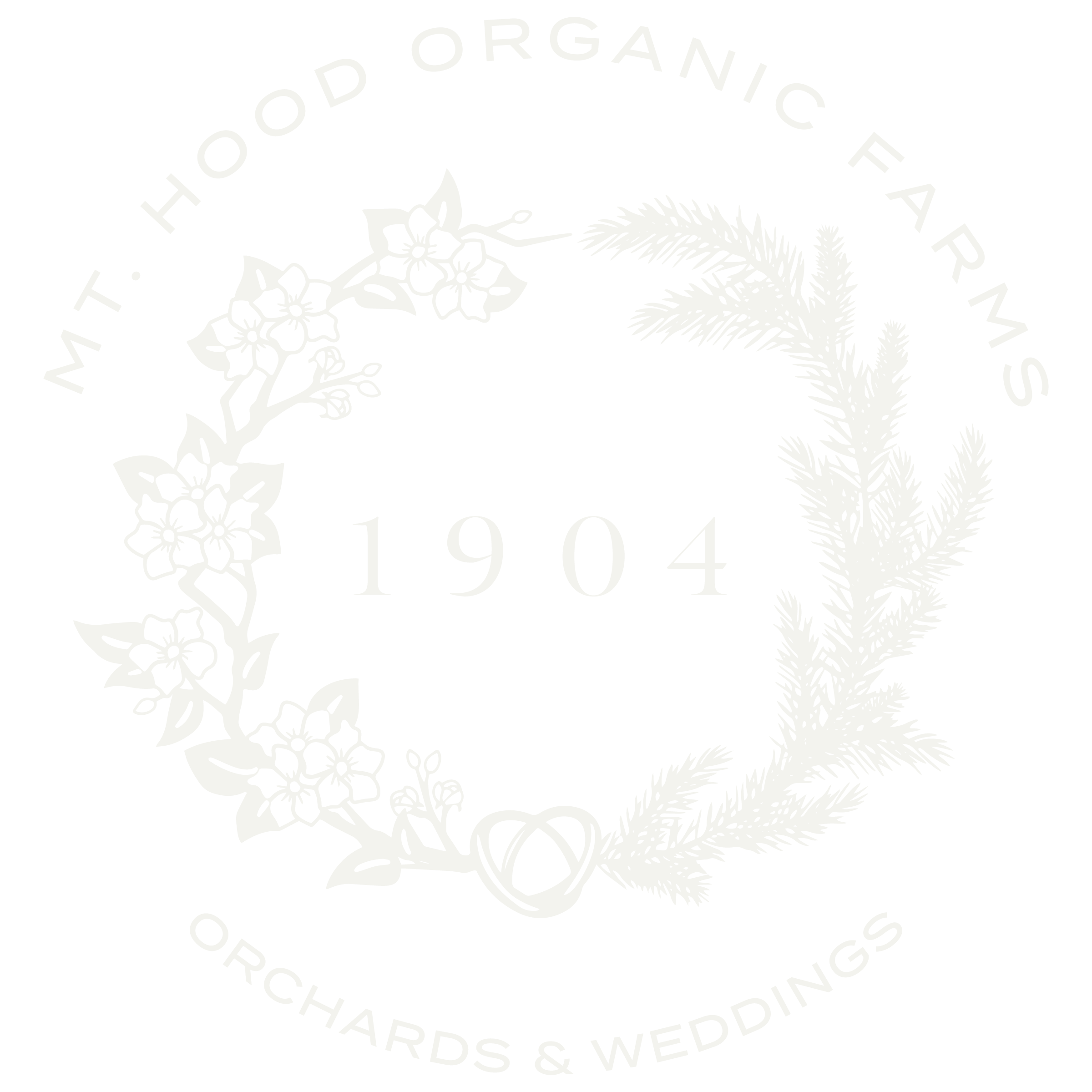 Bulk Organic & Biodynamic Mixed Heirloom Apples, 3 lb, Mt. Hood Organic  Farms