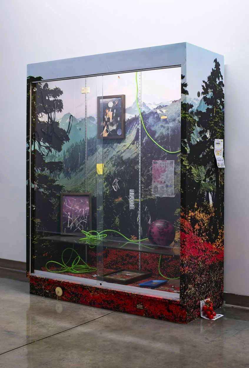 Mountain; Adhesive chromogenic print on prefabricated display case (plywood, glass, aluminum) with assemblage elements and mixed media collages (offset prints with acrylic tape in Artist’s frames); Overall dimensions: 76 x 60 x 24" - (2020)