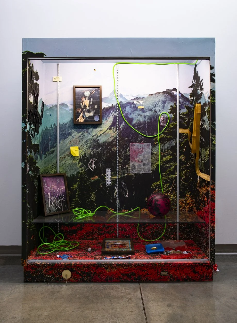 Mountain; Adhesive chromogenic print on prefabricated display case (plywood, glass, aluminum) with assemblage elements and mixed media collages (offset prints with acrylic tape in Artist’s frames); Overall dimensions: 76 x 60 x 24" - (2020)