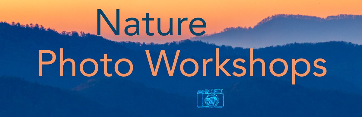 Nature Photo Workshops