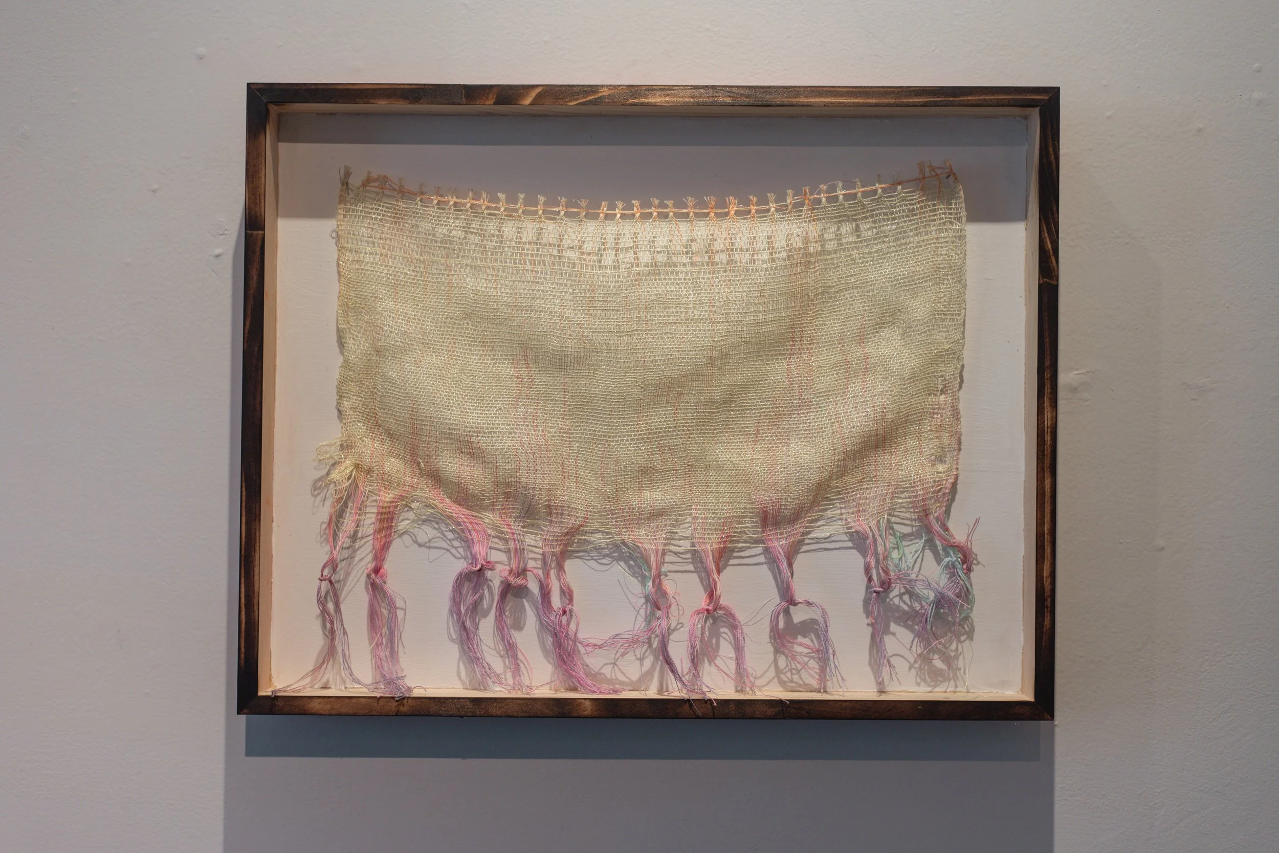 where the prickly pear grow,mixed fibers, handwoven warp painted ondulé weave,18x14x3” 2025 
$600
