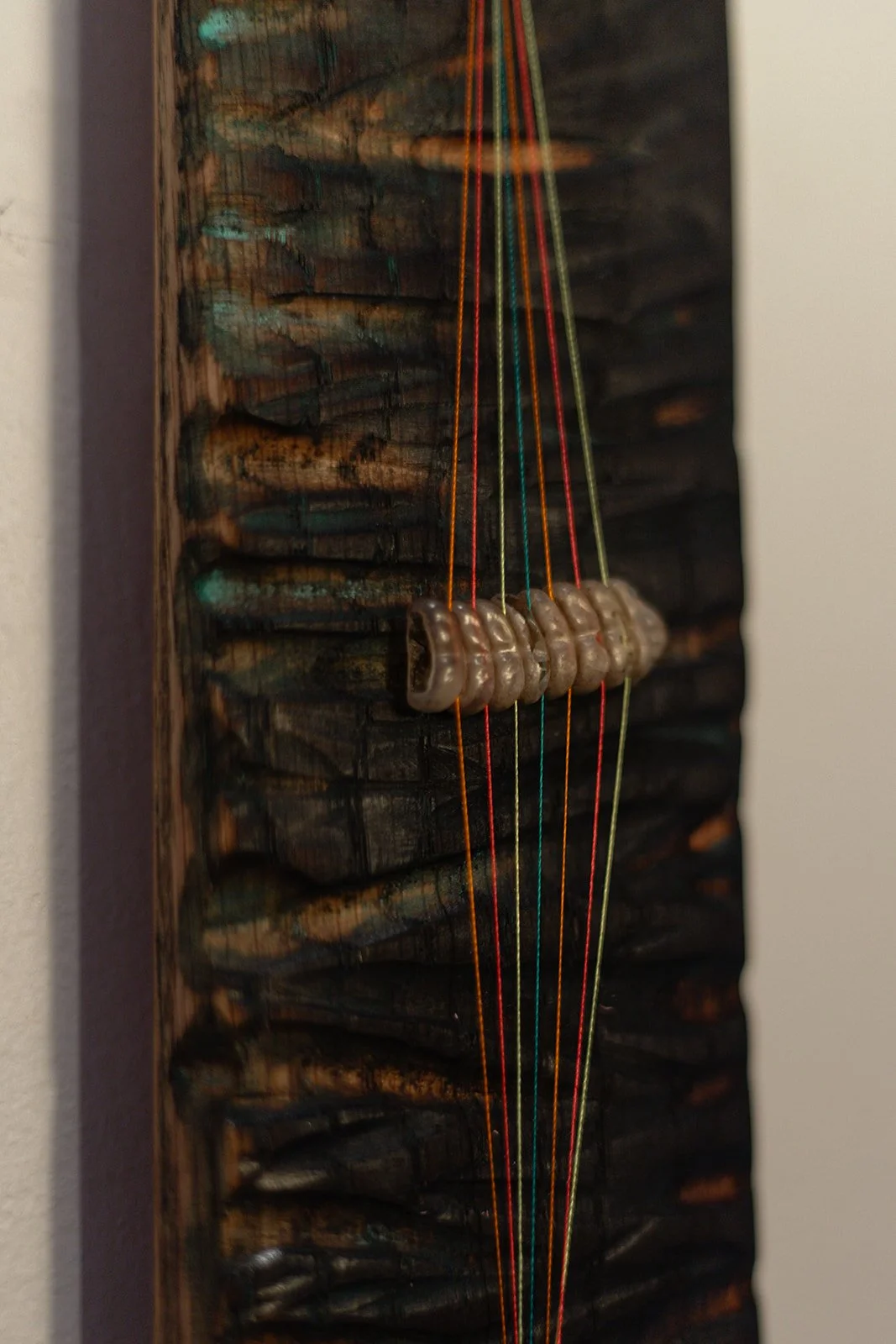 Tell me the tale of the rattle snake rattle, detail,torched oak, rattle snake rattle, thread, 2025
$800


