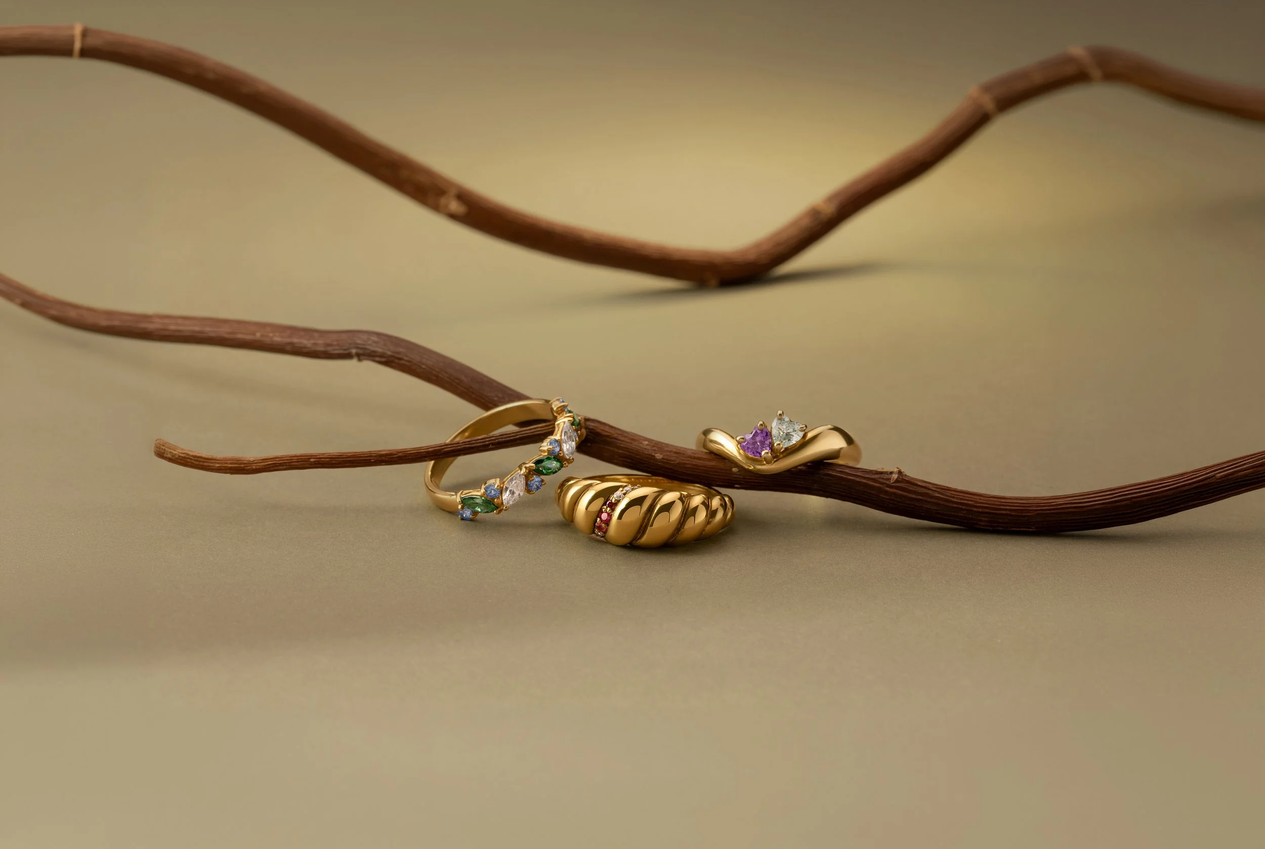 astd_rings_01A2598.jpg