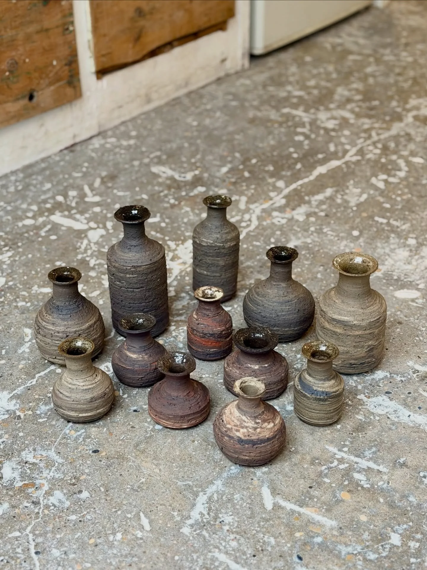 Collection de soliflores en terres m&eacute;lang&eacute;es 🌷