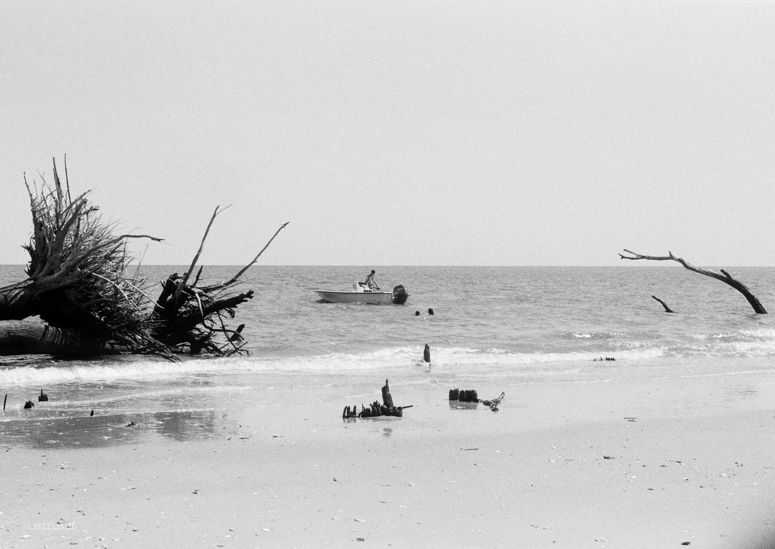 Gentle Paradise BW 02.jpg