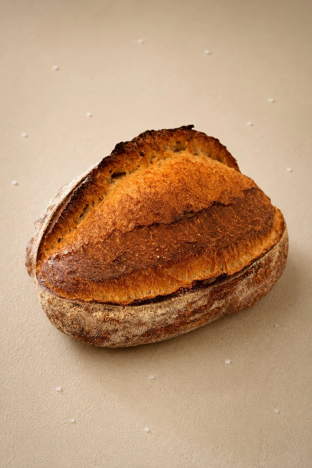 Country Sourdough Loaf