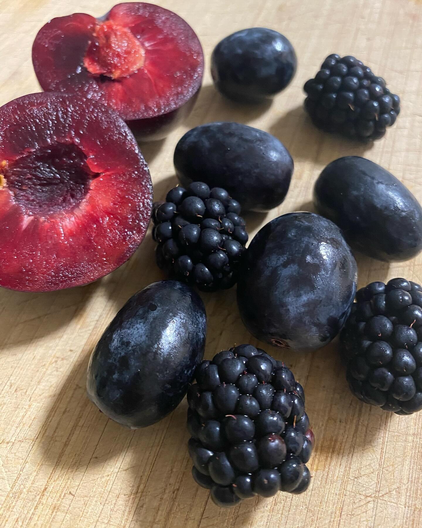 Blue and purple foods aren&rsquo;t just visually appealing they&rsquo;re also packed with anthocyanins, powerful antioxidants that fight inflammation and protect cells from damage. 
But that&rsquo;s not all! 
These superfoods also support a healthy g