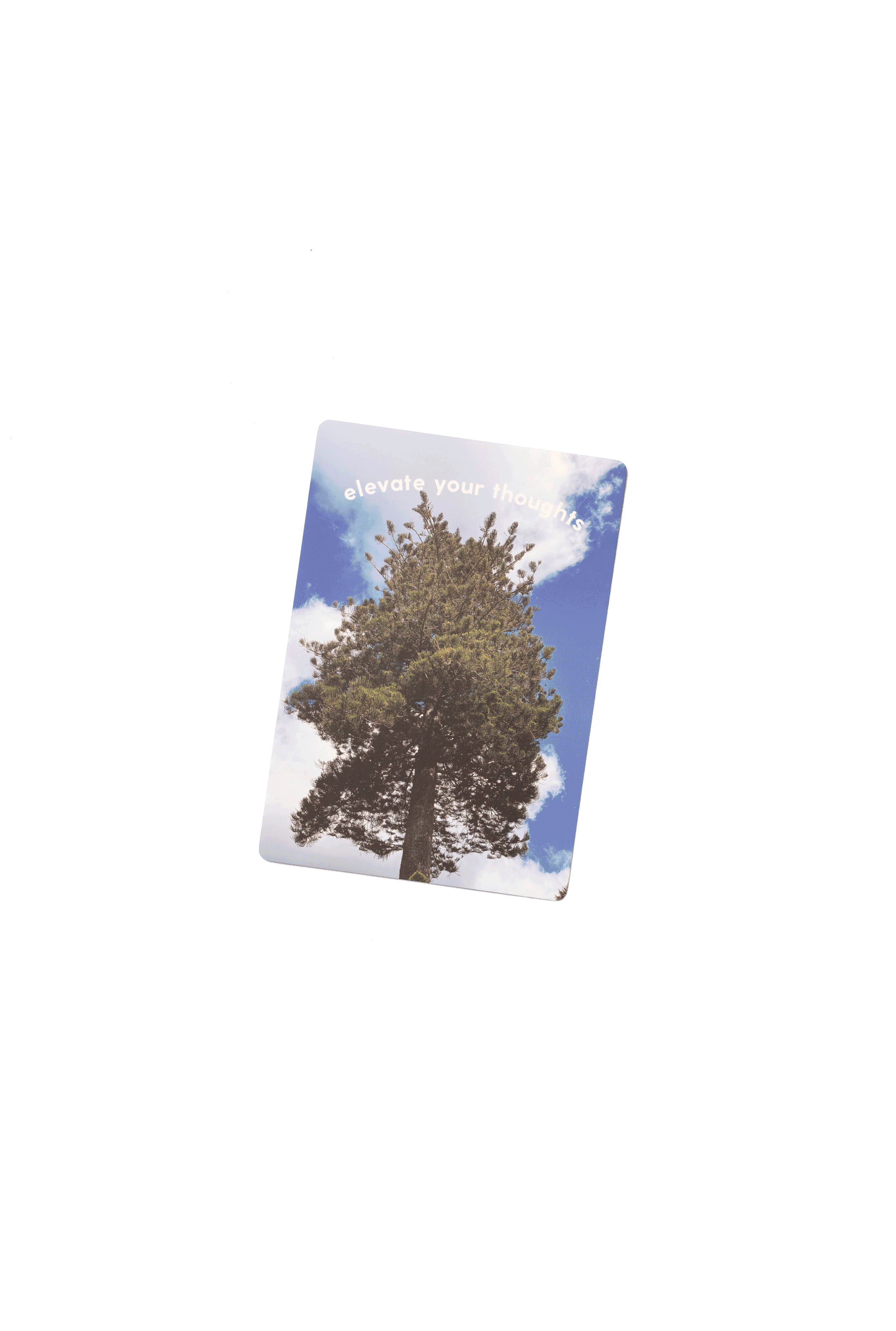 _43A2063 copy.gif