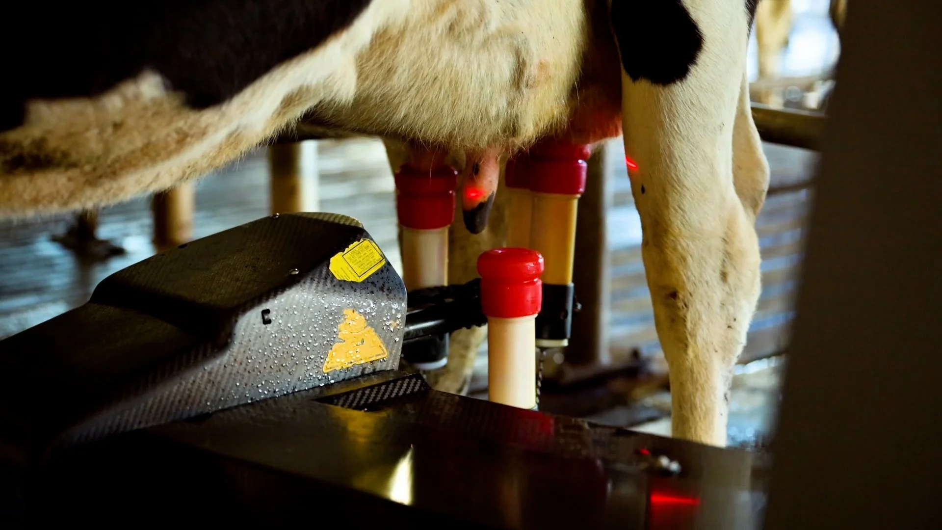 UOM017 FVAS Field Trips - DAIRY HR 2022-02-23 1600PM.mp4.00_01_40_00.Still005.jpg