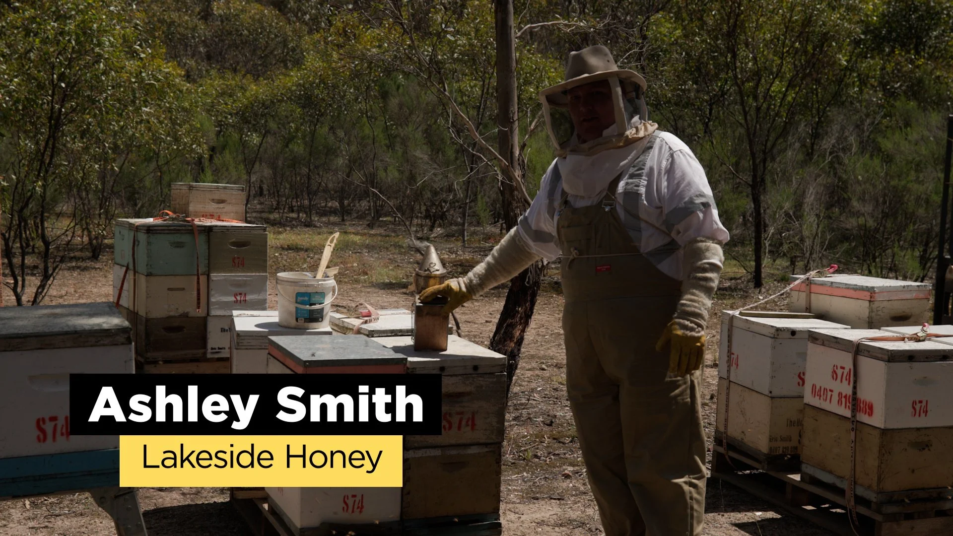 MELP007 Honey Crop v02 1080p 2022-12-05.00_00_06_22.Still003.jpg