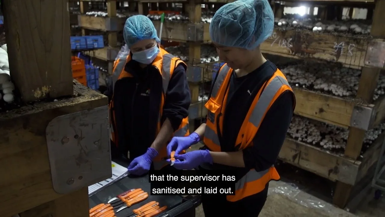 [Parachute] Mushroom Picking Assembly.mp4.00_01_19_03.Still006.jpg