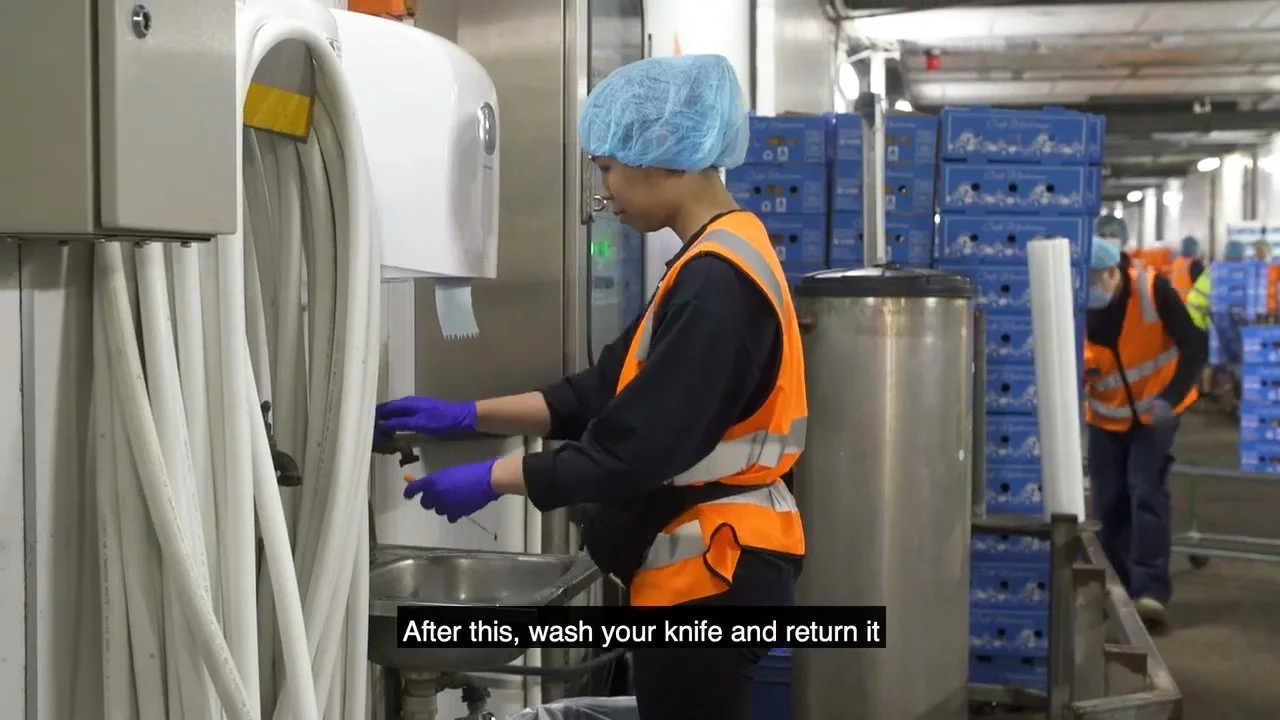 [Parachute] Mushroom Picking Assembly.mp4.00_04_08_21.Still011.jpg