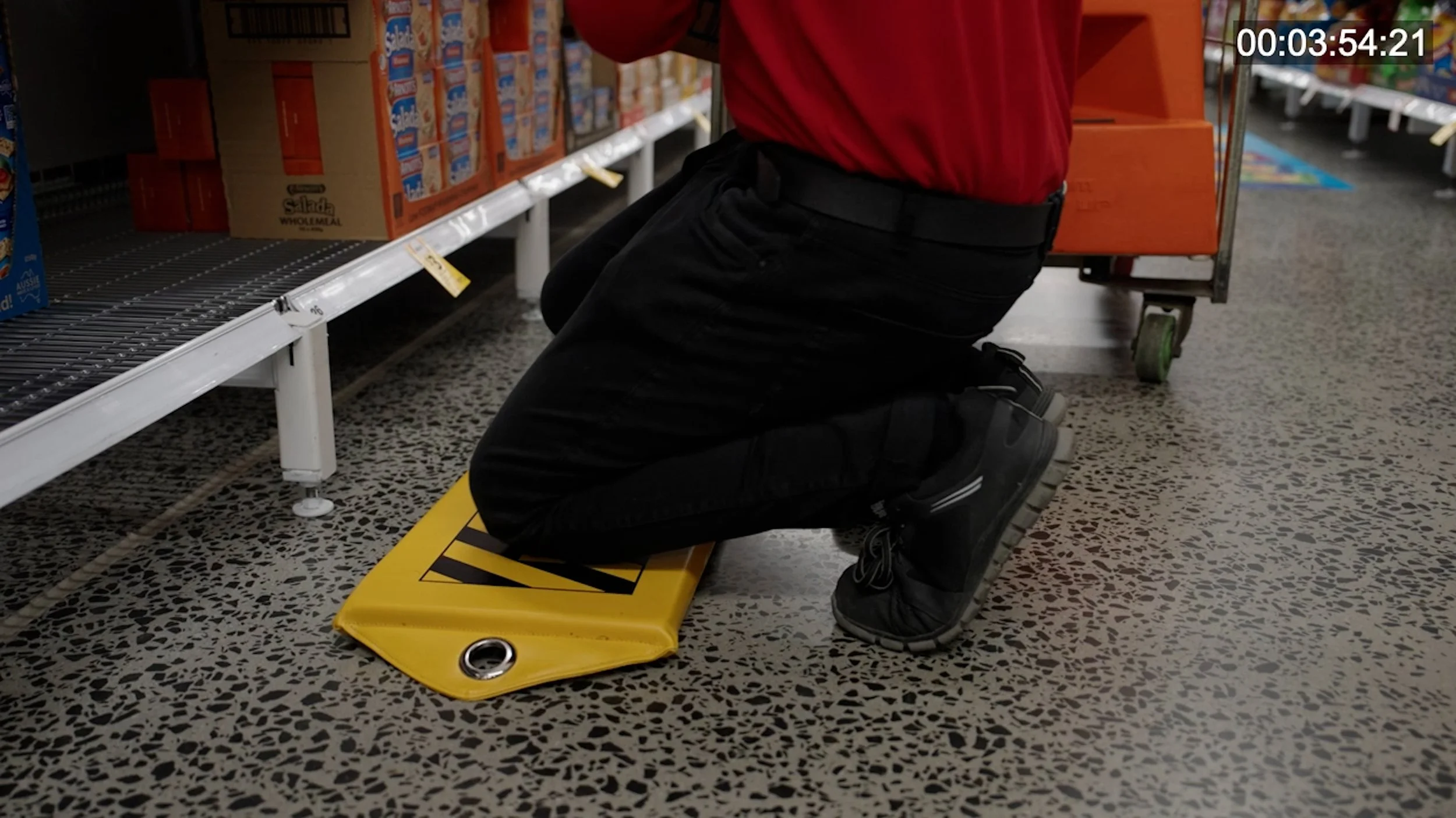 WAV002 Foundations Fresh September Selects v01-.mp4.00_03_54_06.Still002.jpg