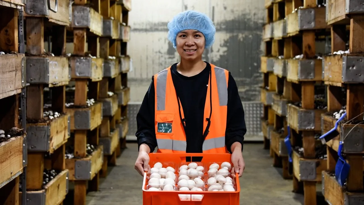 [Parachute] Mushroom Picking Assembly.mp4.00_04_56_19.Still013.jpg