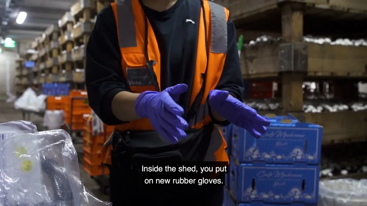 [Parachute] Mushroom Picking Assembly.mp4.00_00_59_20.Still005.jpg