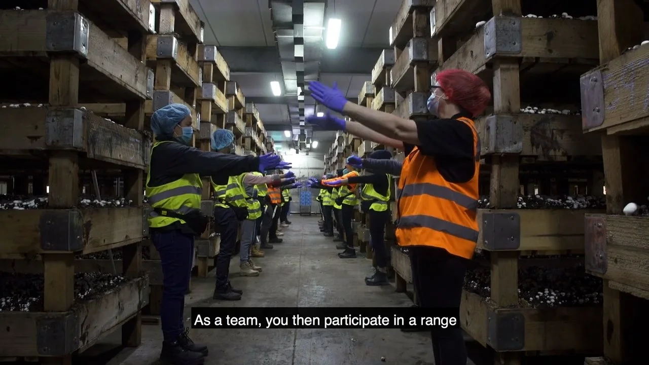 [Parachute] Mushroom Picking Assembly.mp4.00_01_36_21.Still007.jpg