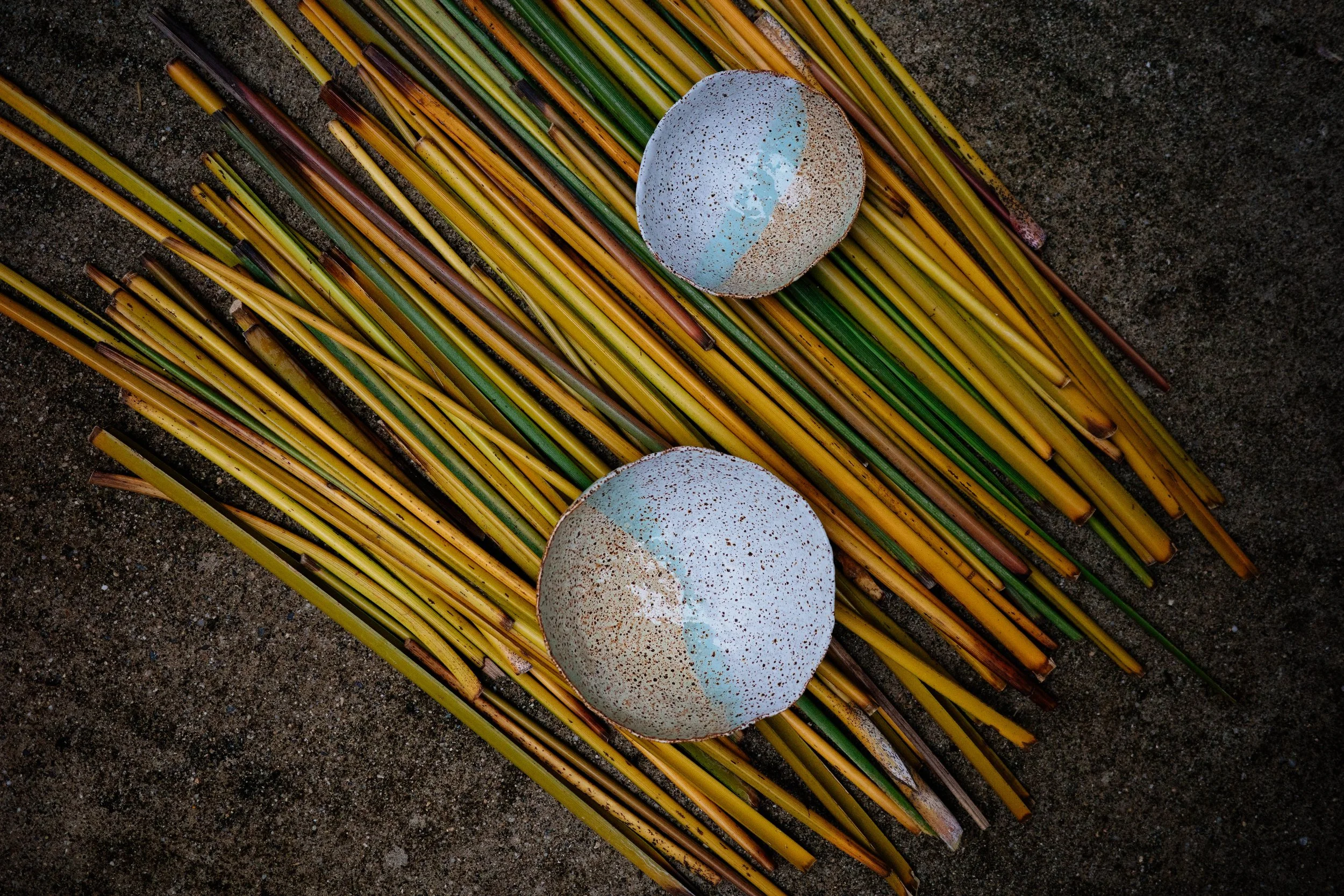R0000774.jpg