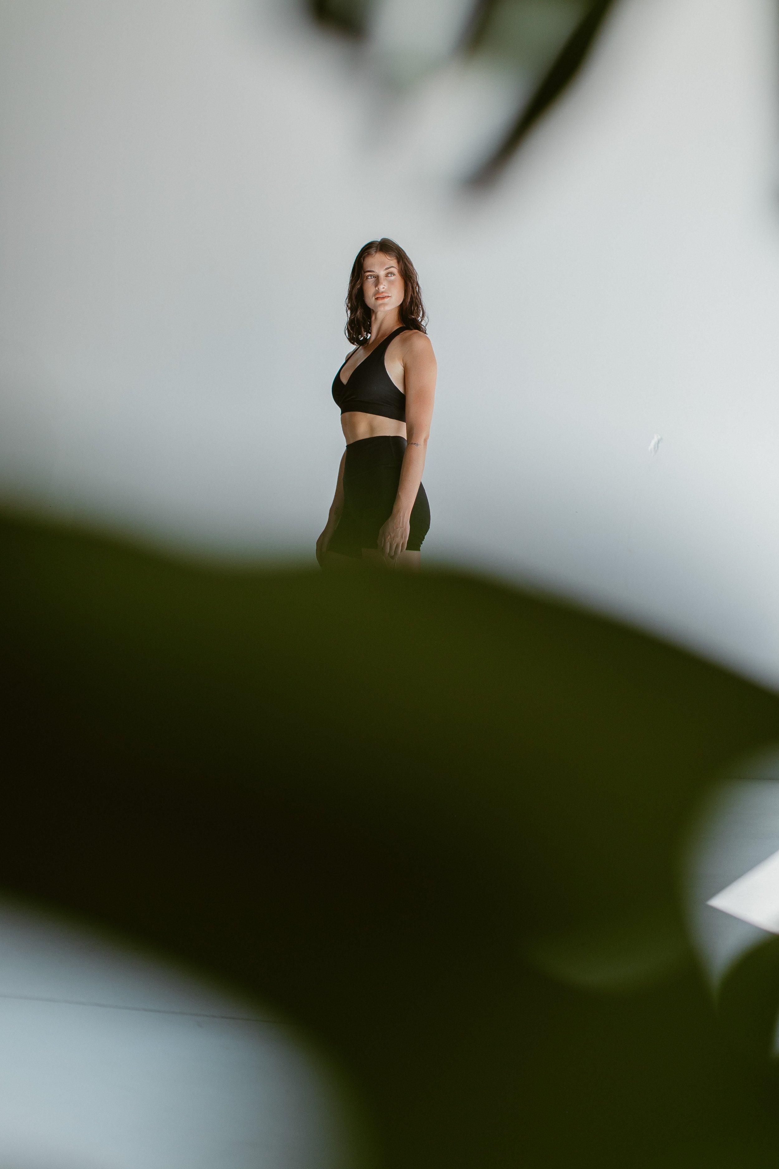 Wilfred Eco-96 copy.jpg