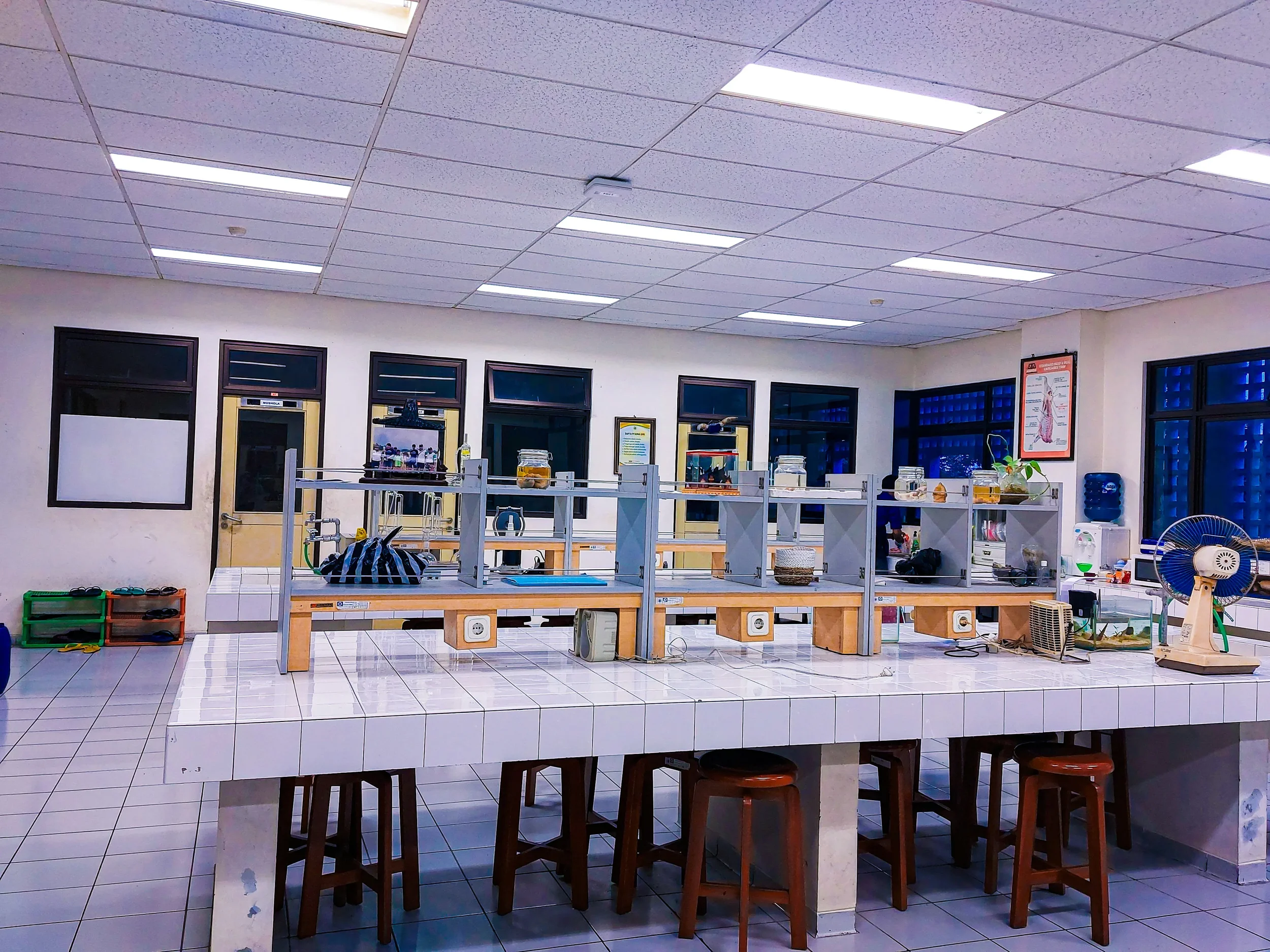 school scales calibration
