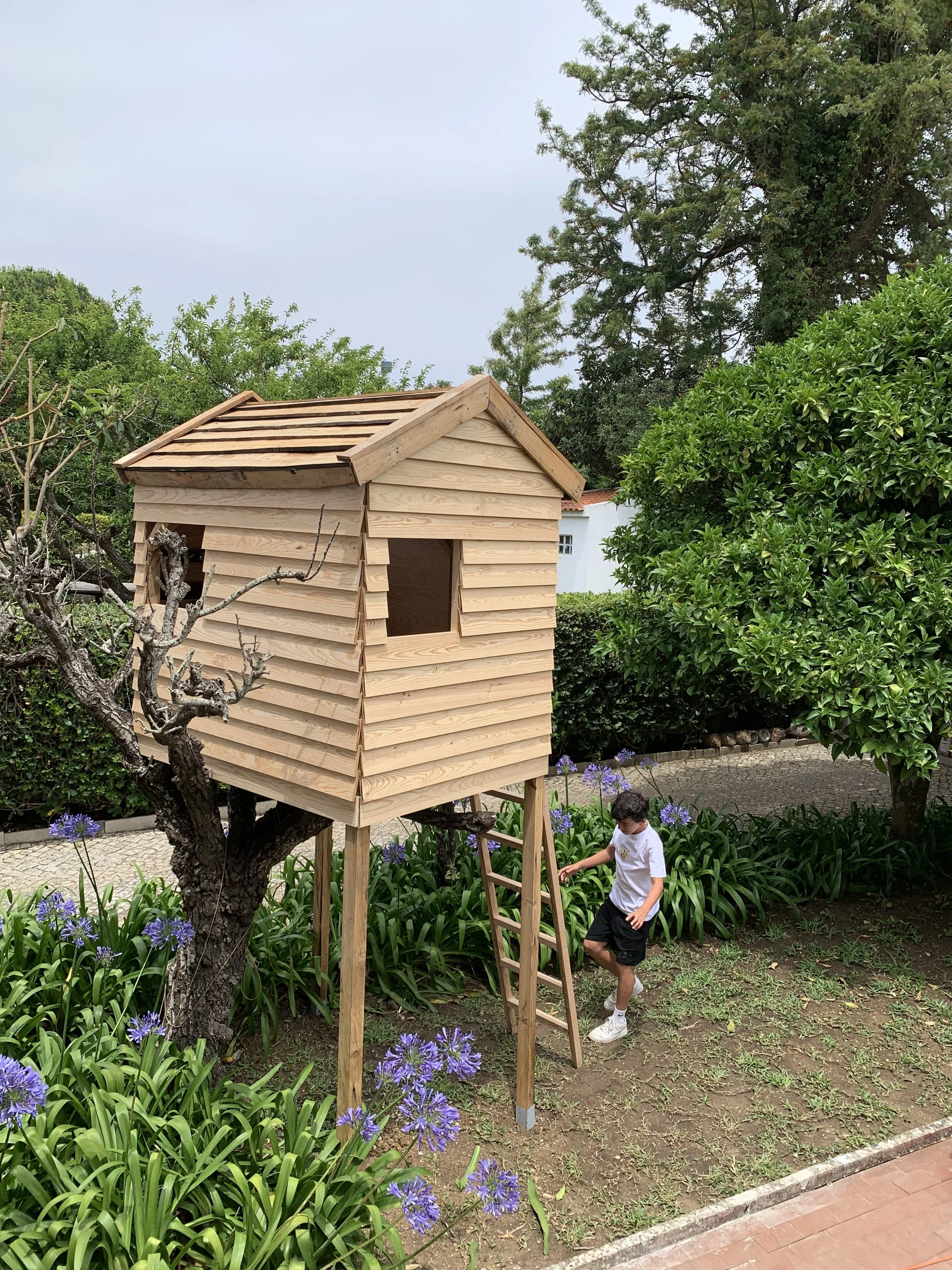 casa na arvore