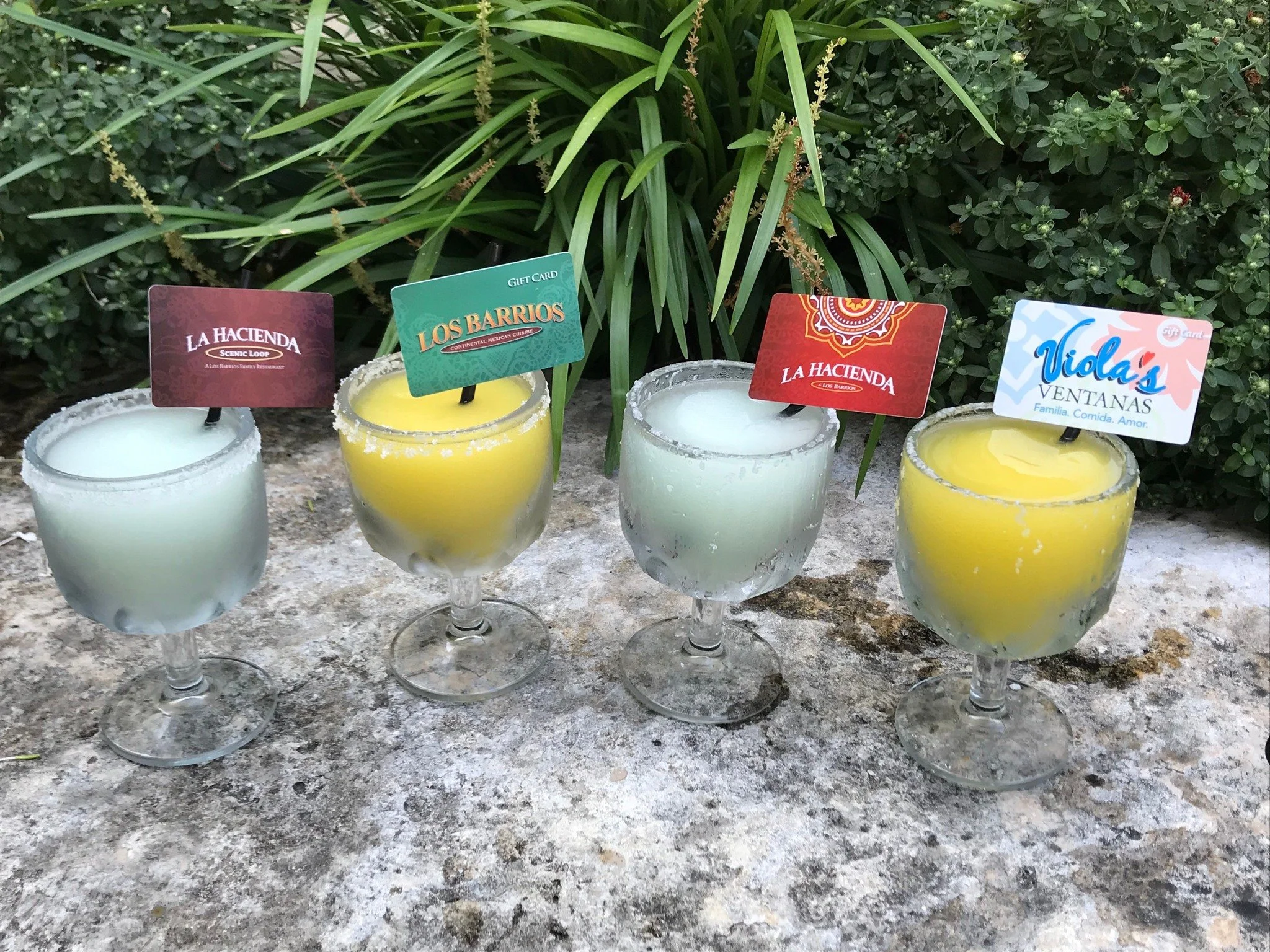 Viola's Ventanas Giftcards in Marg.jpg