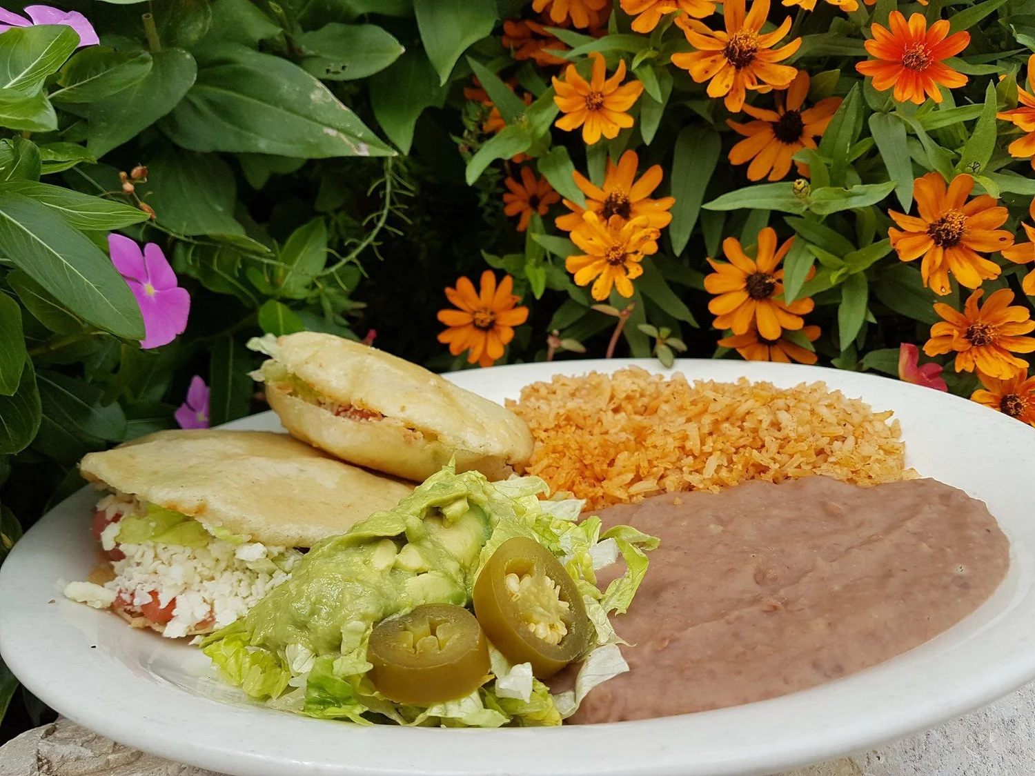 Email Club — Viola's Ventanas