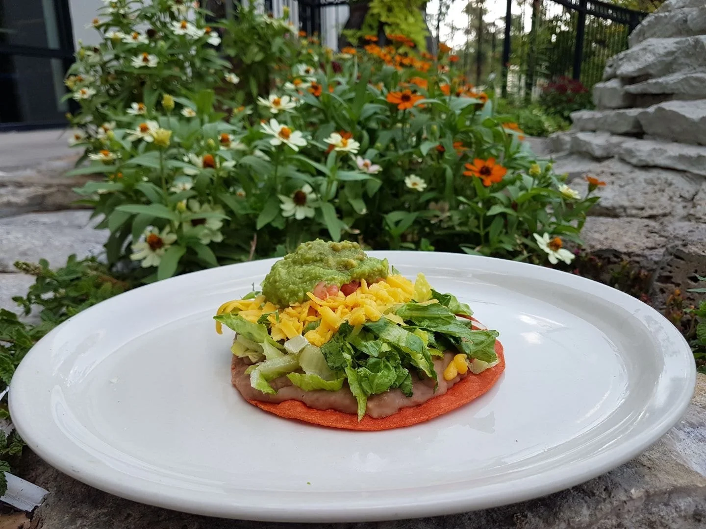 TexMex To Go — Viola's Ventanas