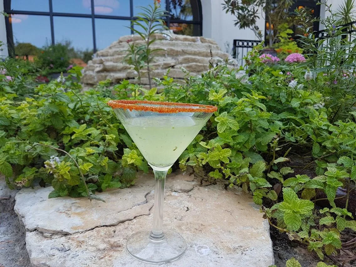 Events — Viola's Ventanas