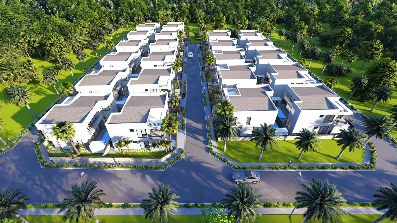 WhatsApp Image 2024-08-14 at 19.30.35 (3).jpeg