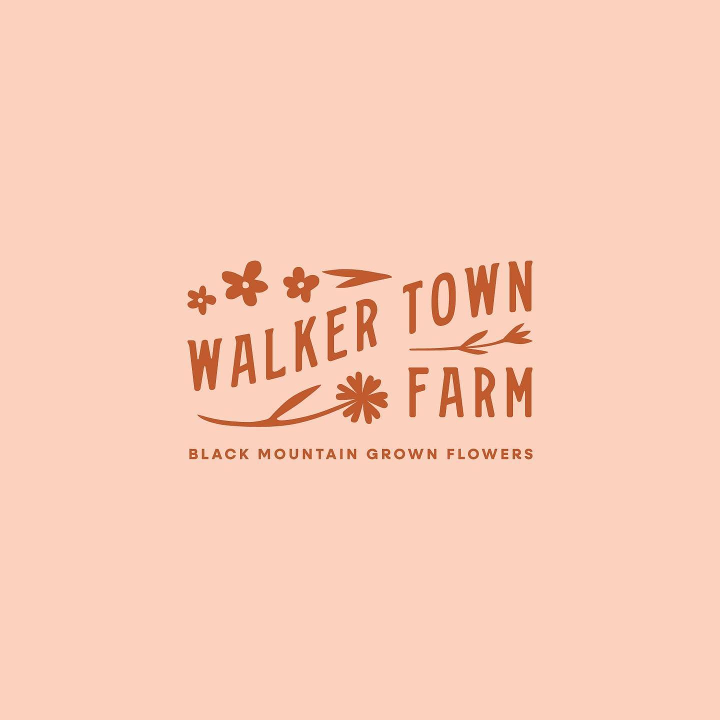 Presenting a new logo and brand update for @walkertownfarm ! Jenny of Walker Town Farm has been in business for 5 years now, growing gorgeous flowers at her homestead in Black Mountain, NC. I designed her website years ago and loved working with her 