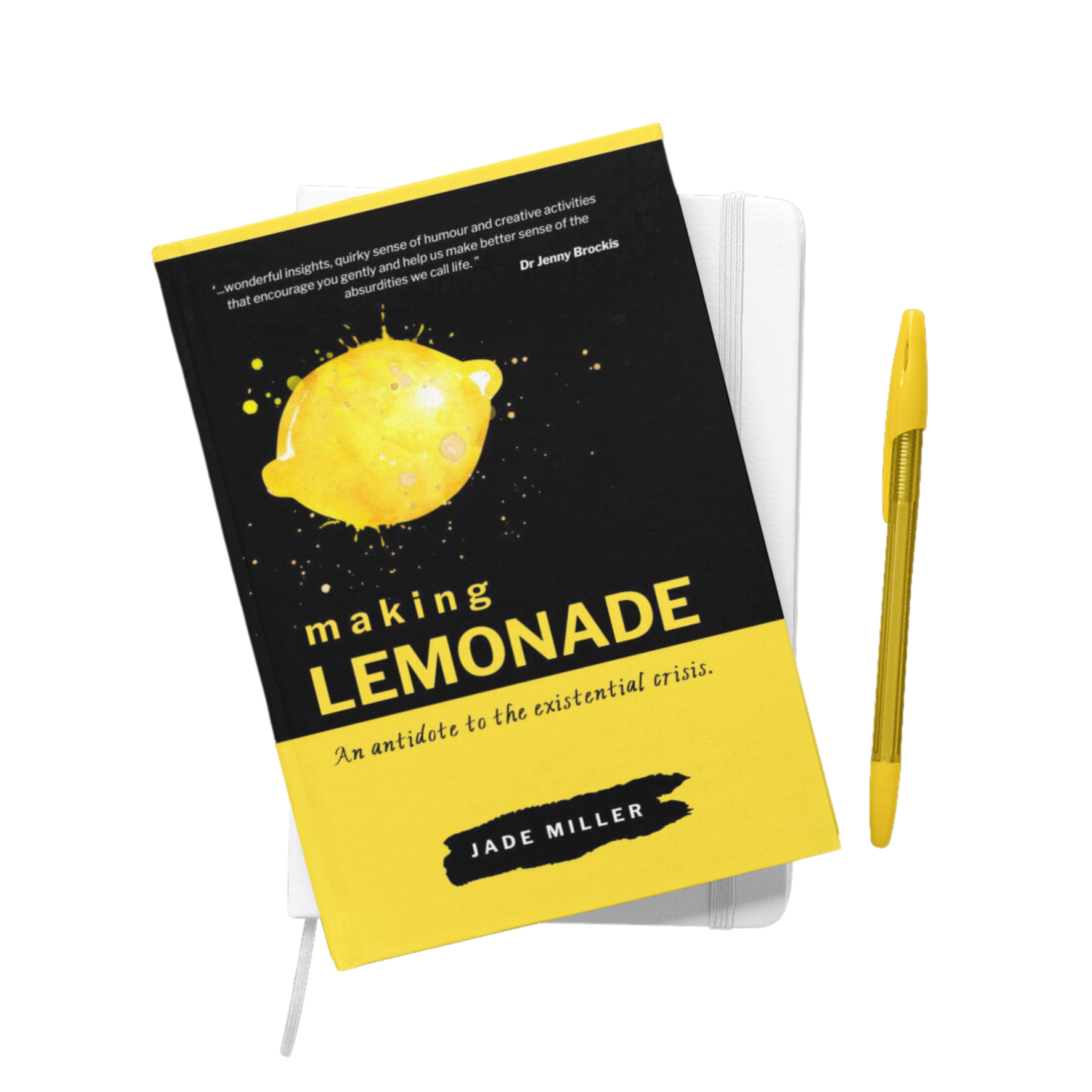 making LEMONADE by Jade Miller