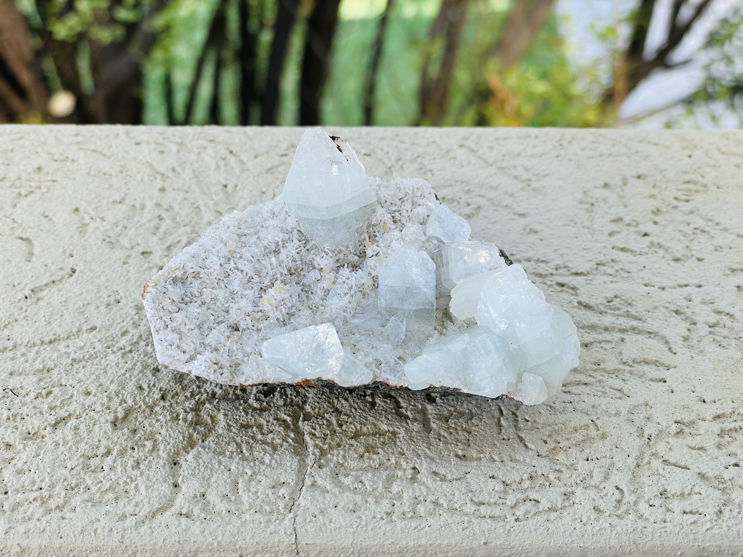 Apophyllite Cluster