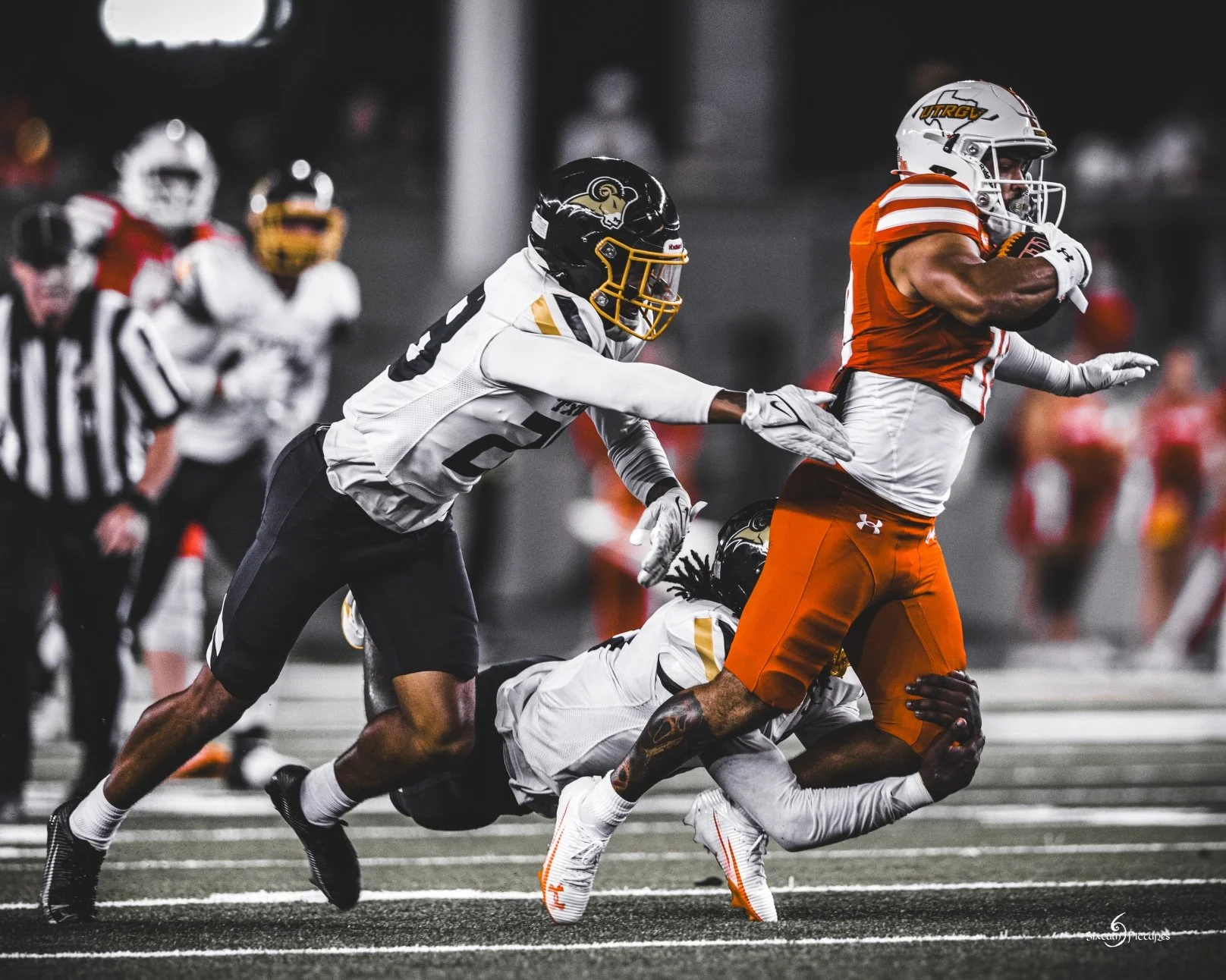 Sixtum Pictures-SIX15941.jpeg