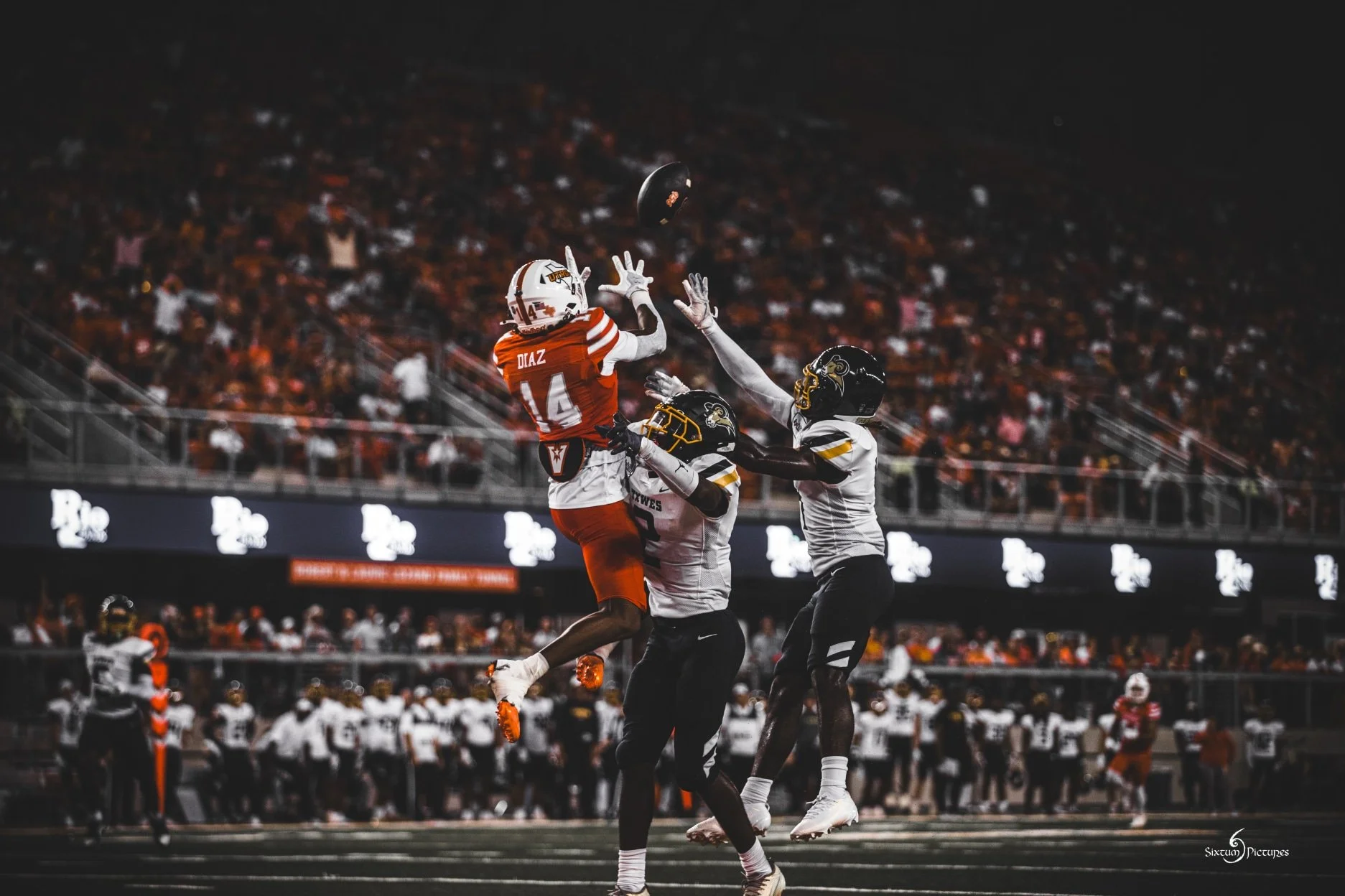 Sixtum Pictures-SIX49384.jpeg