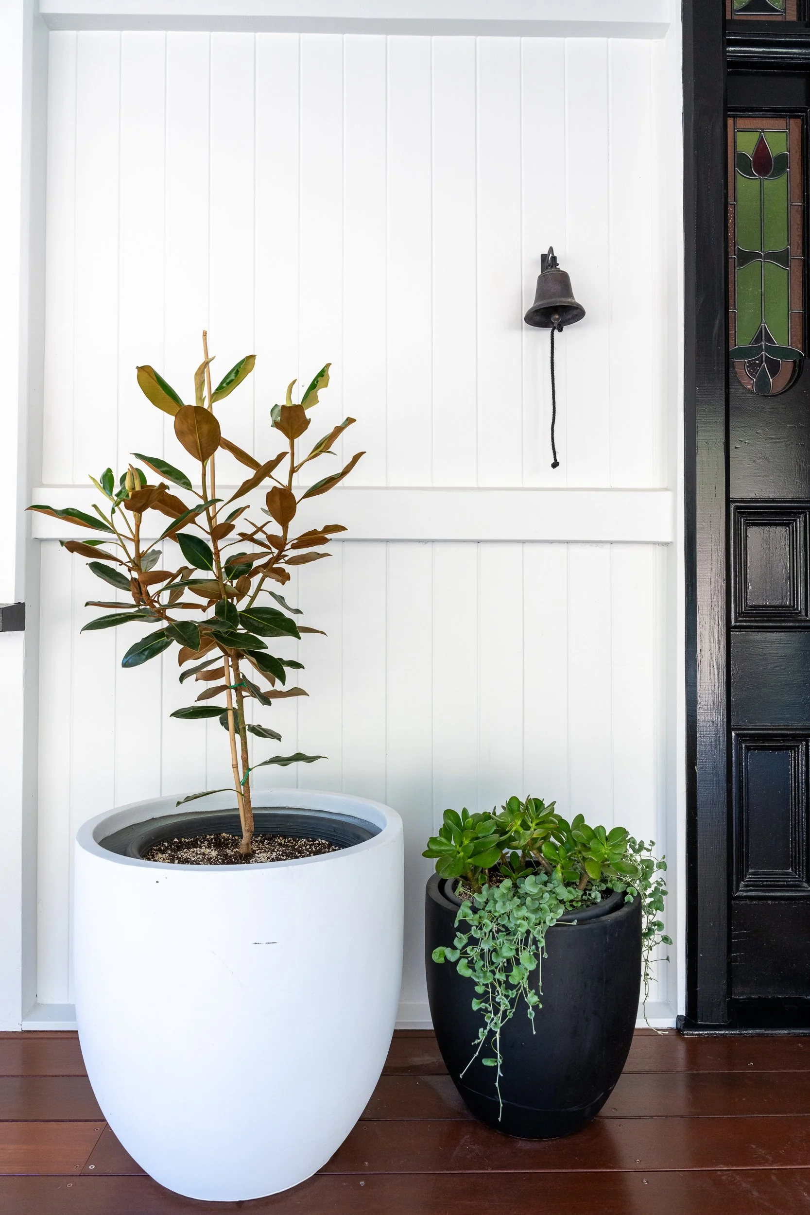Potted plants on a wooden porch. One large white pot with a small tree, and a black pot with green foliage. A white wall background with a decorative glass door and a black bell hanging on the wall.