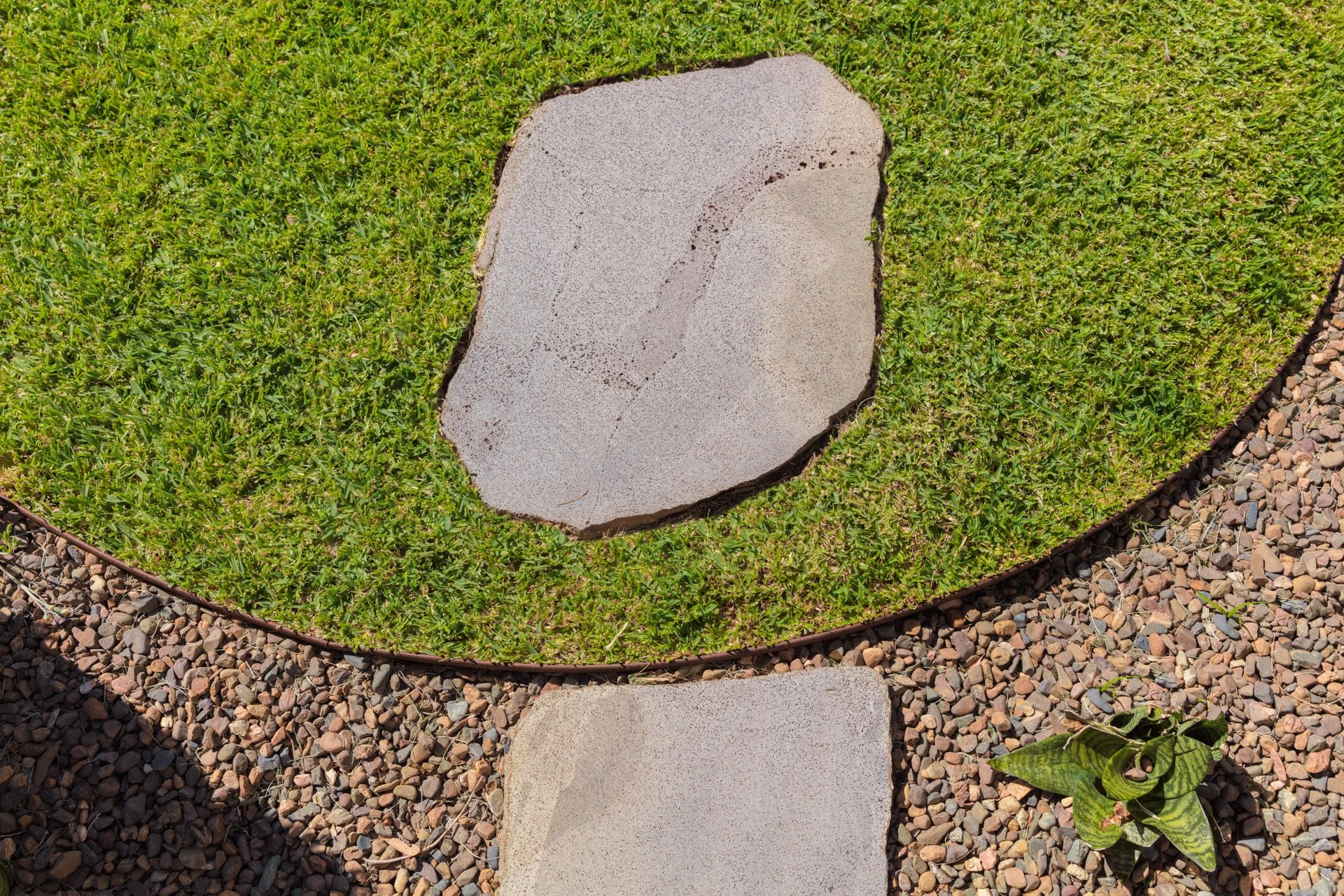 Close-up of a gray, irregularly shaped stepping stone on gravel surrounded by a circular border and green grass with a small green plant nearby.