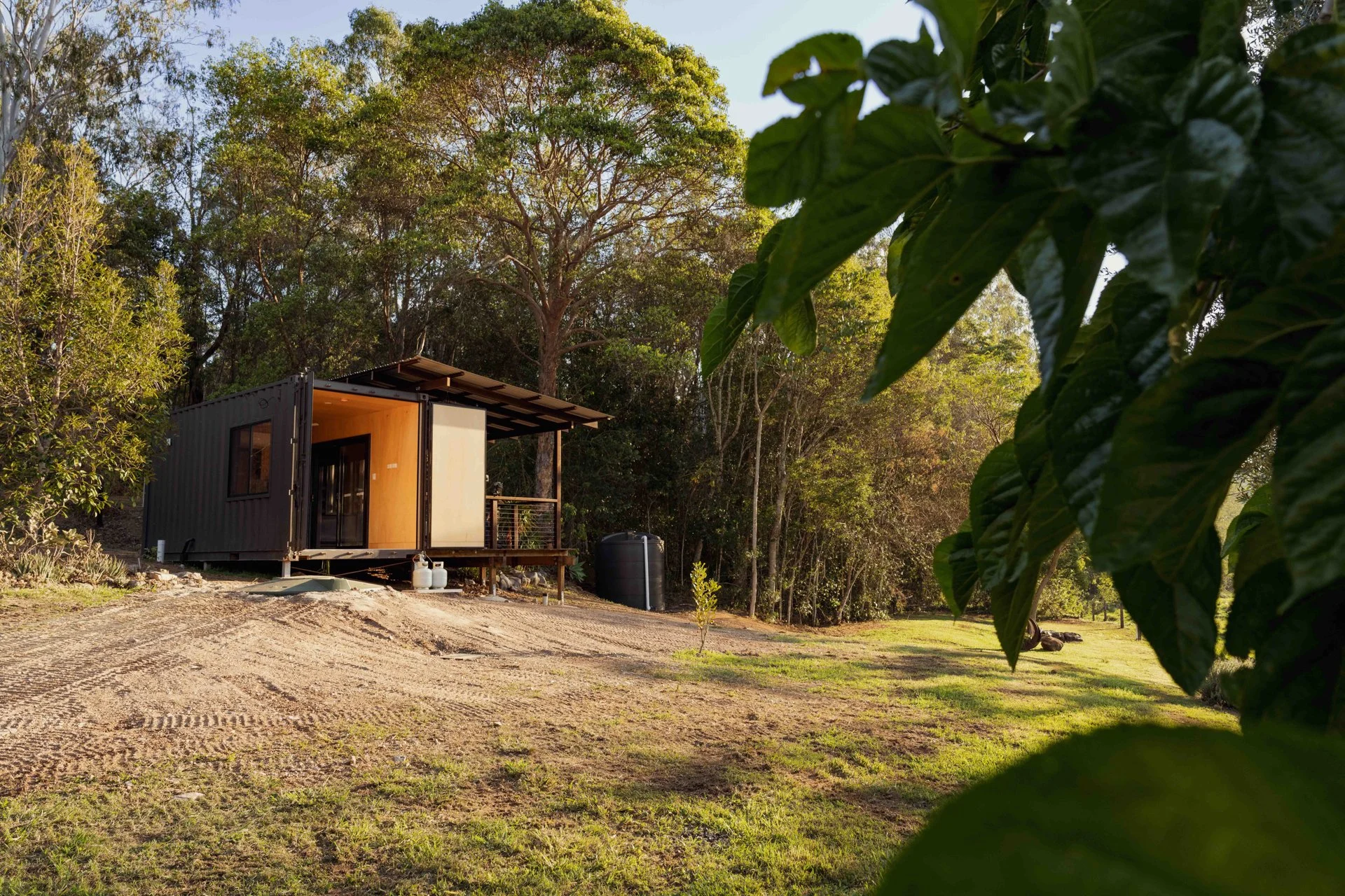 Small modern cabin with dark exterior and wooden interior, elevated on stilts, set in a lush wooded area during daytime, with large trees and green foliage surrounding it.