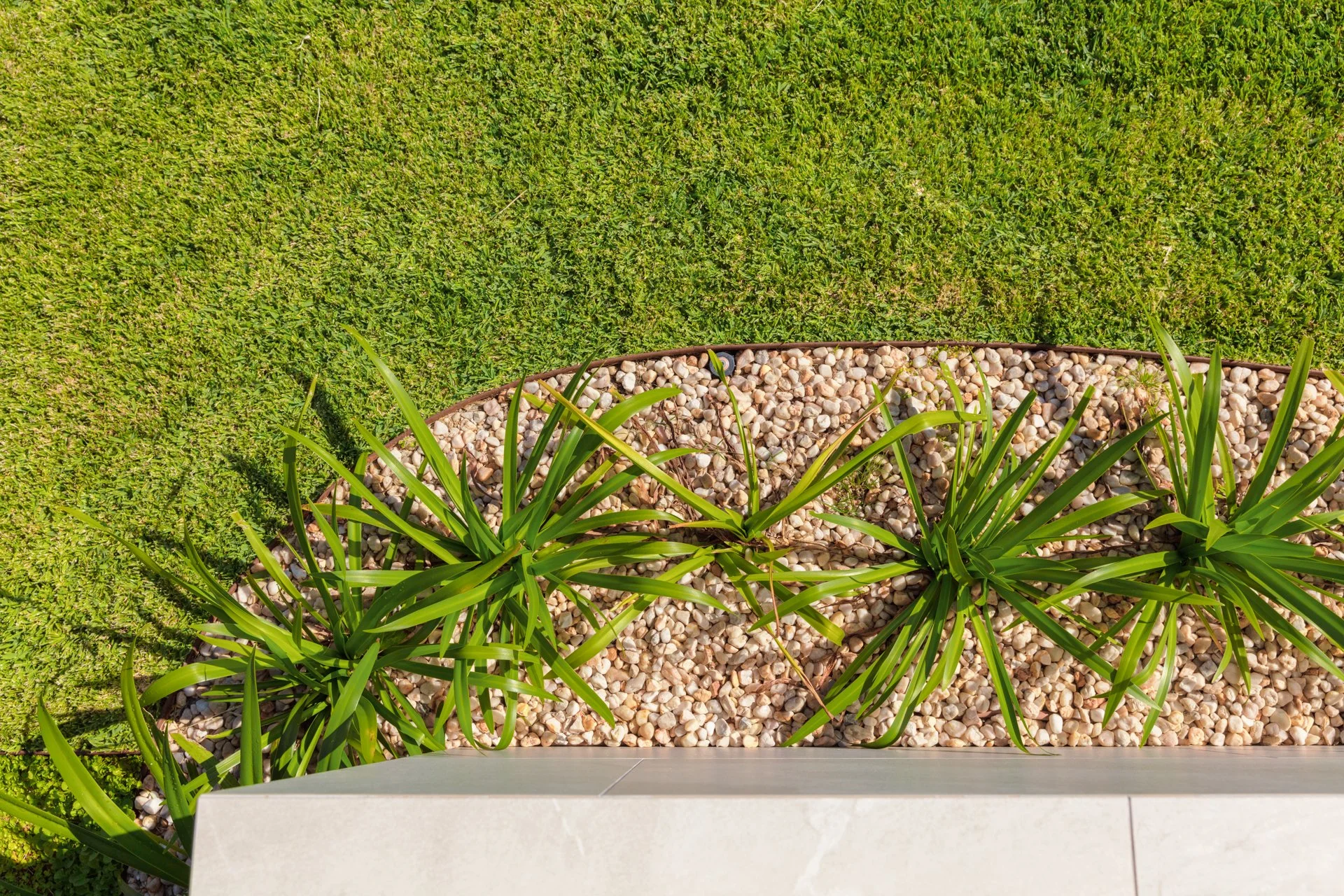 A top-down view of a garden bed with green plants bordered by gravel, against a backdrop of lush green grass.