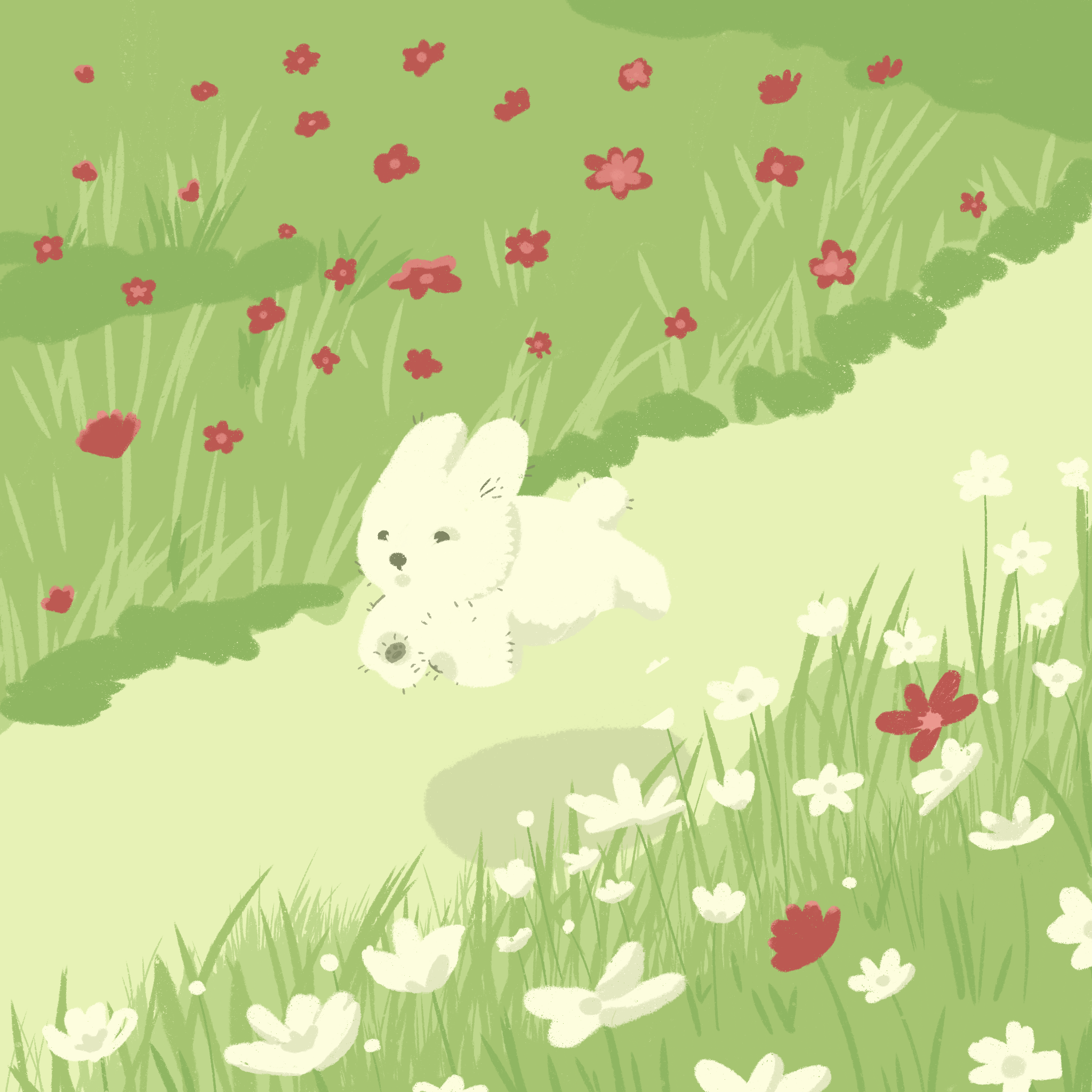 IMG_1740.PNG