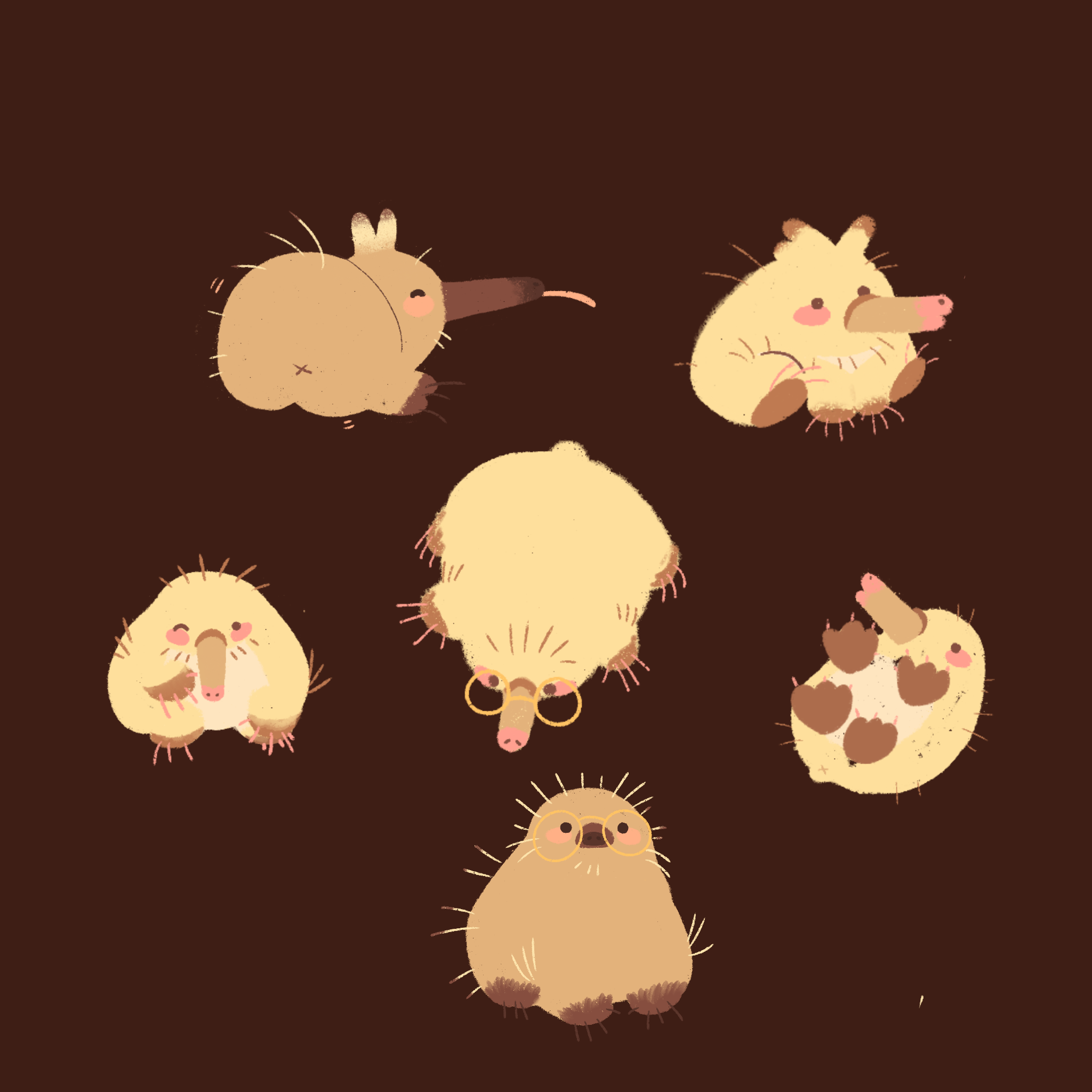IMG_1773.PNG