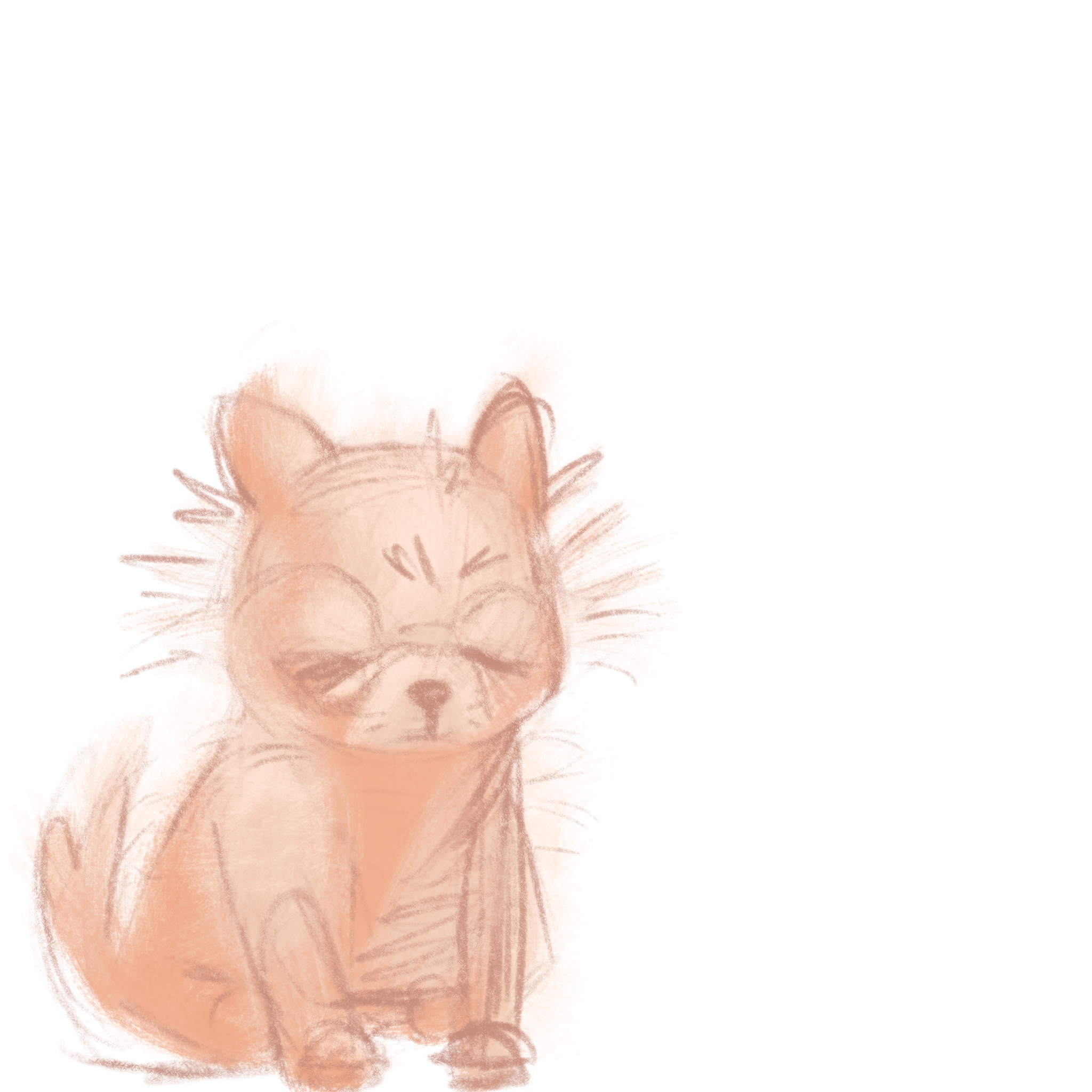IMG_1770.PNG