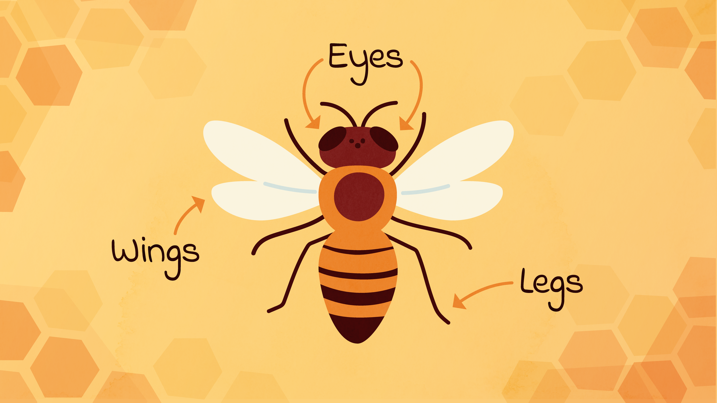 Flocab_Bees_Shot18-19.png