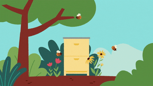 Hive_Zoom.gif