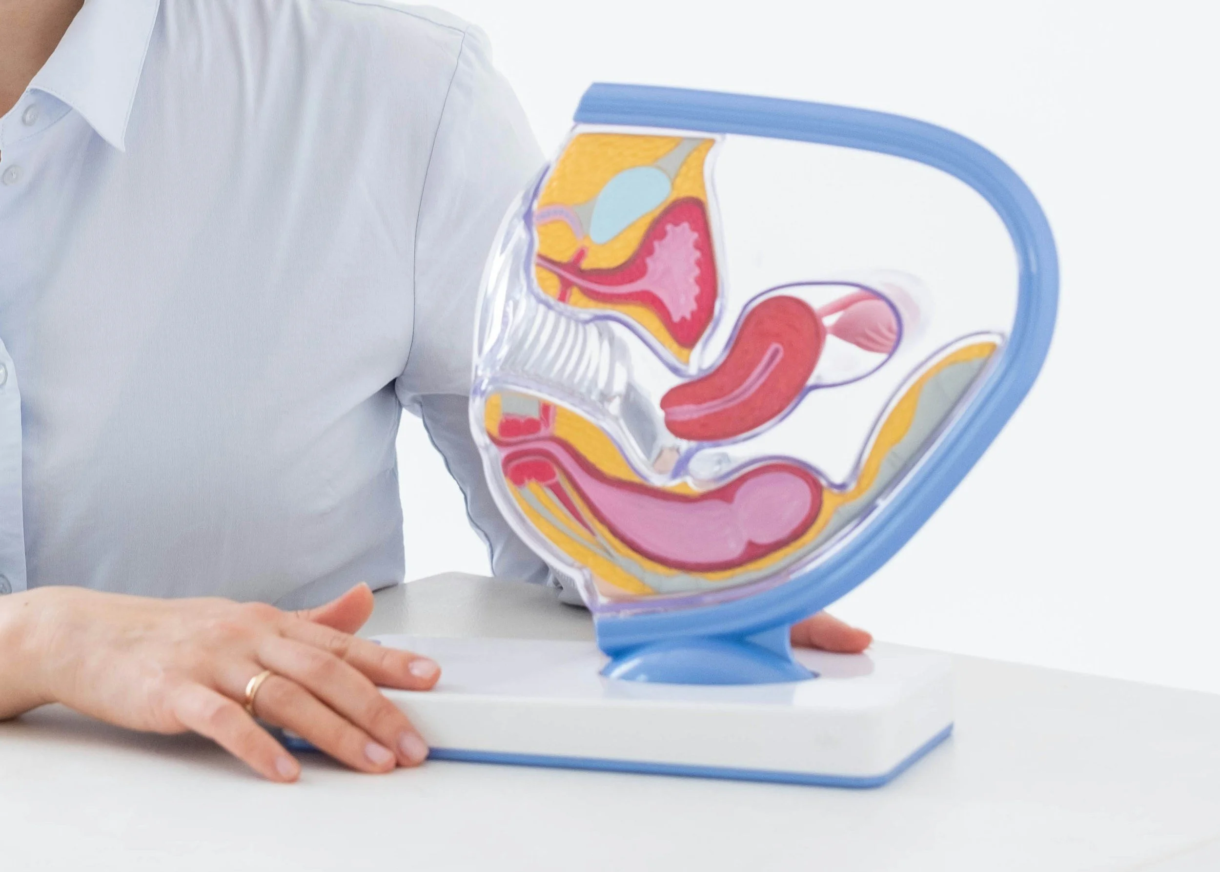 Understanding the Endometrium: When High-Quality Embryos Don’t Implant