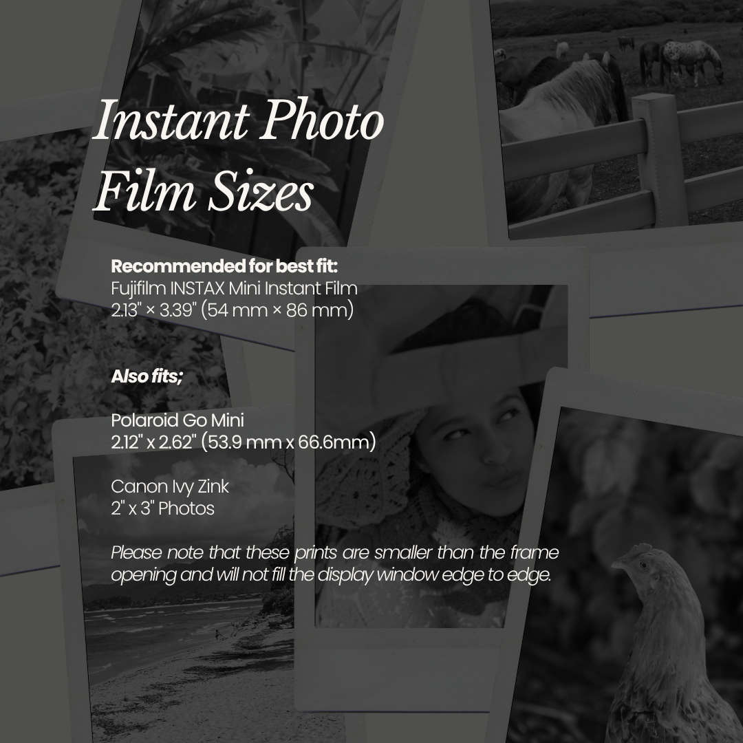 Scallop Mini Frame Web Listing 6.png