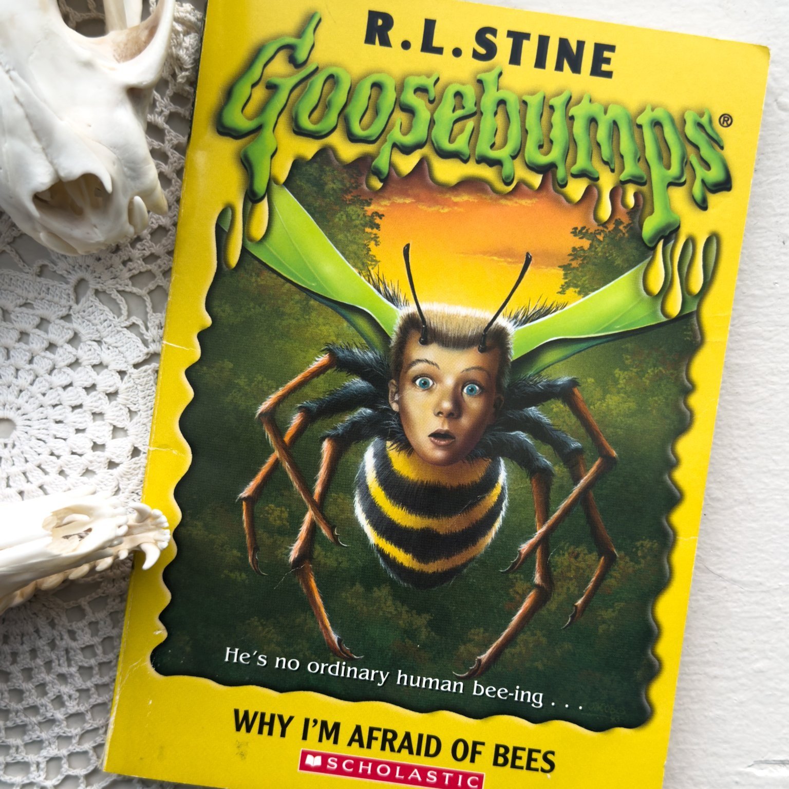 GoosebumpsBeeBook-1.jpg