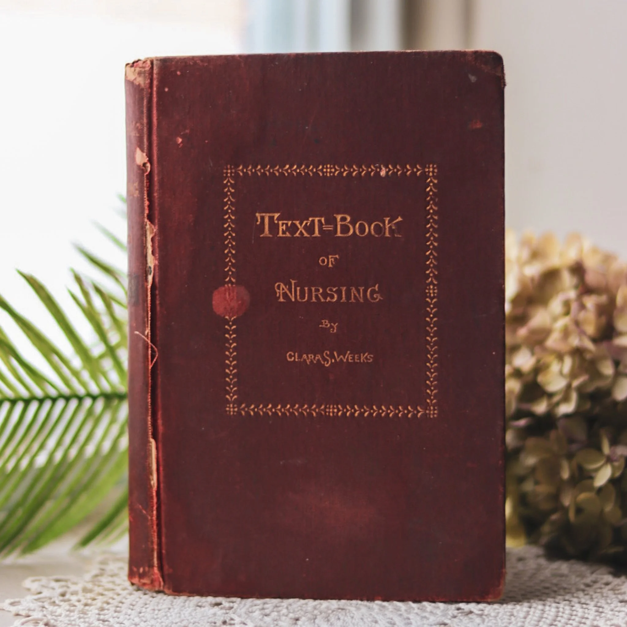 A Text-Book of Nursing by Clara S. Weeks