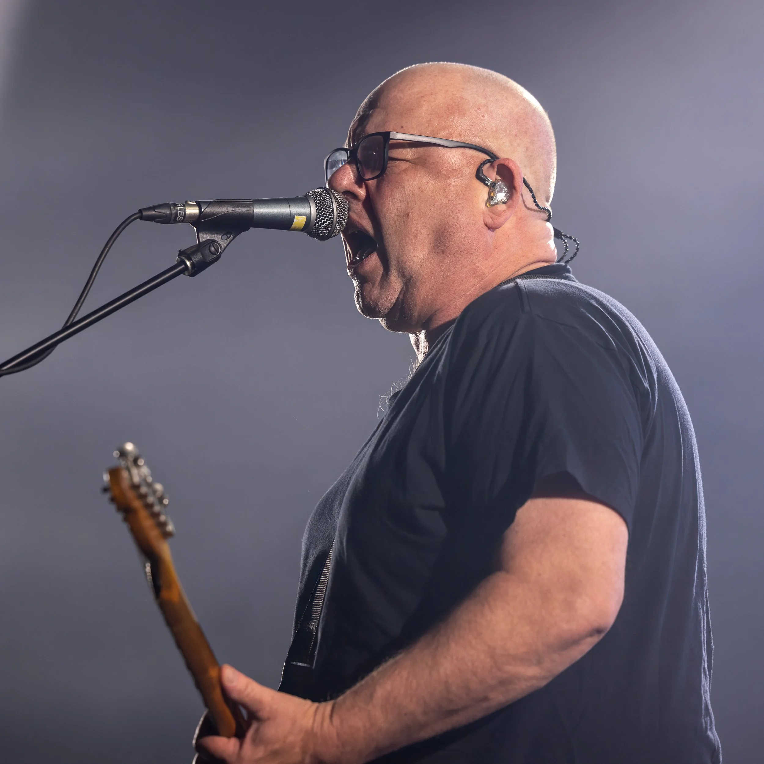 pixies10.JPG